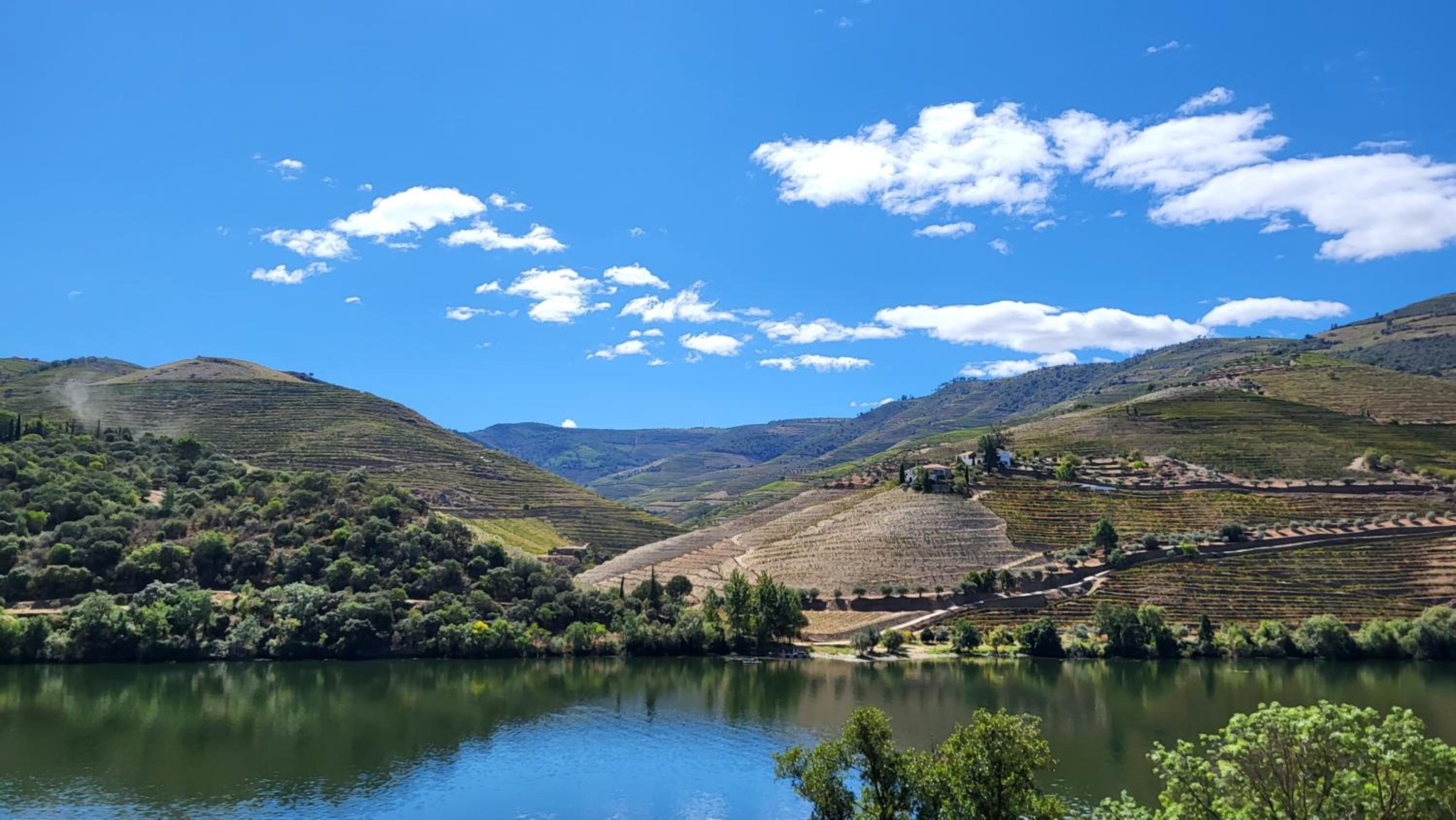 Douro Studio view 5