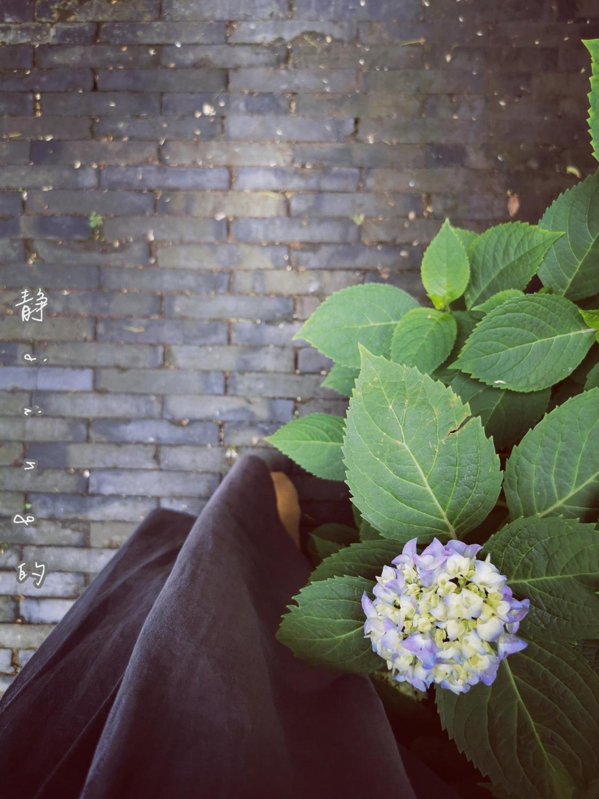 Suzhou Houlishenghuo Guesthouse