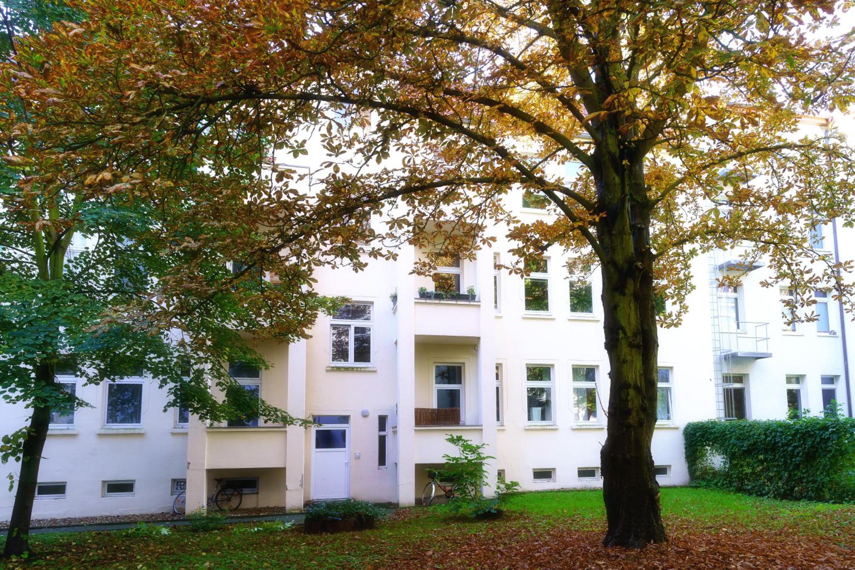 Bezaubernde Altbauwohnung im Herzen von Magdeburg