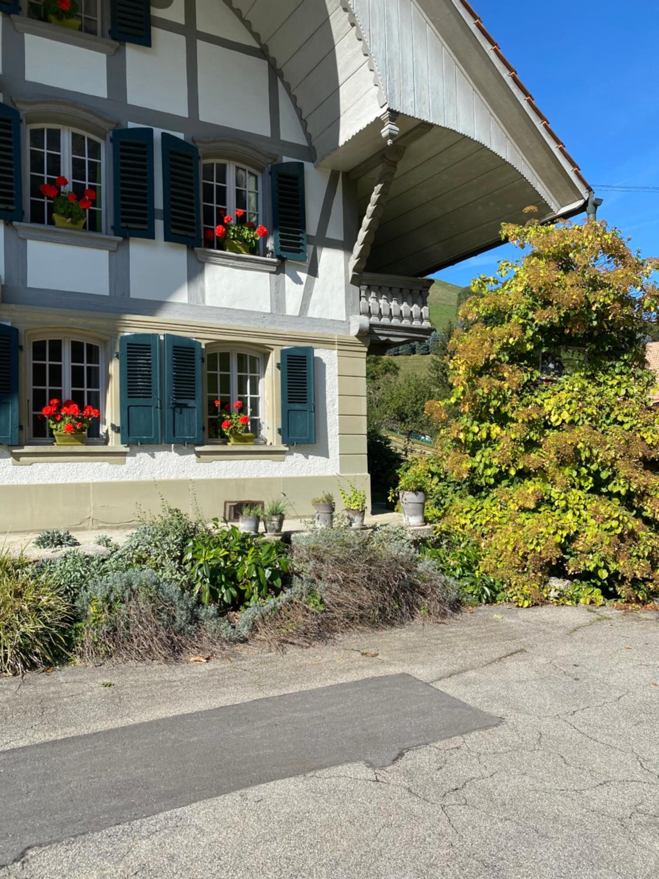 B&B tannen124
