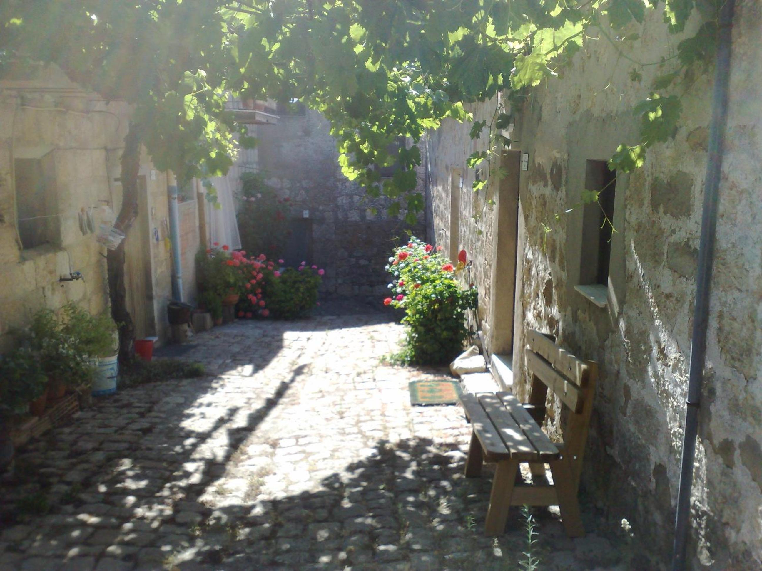 Photo 42