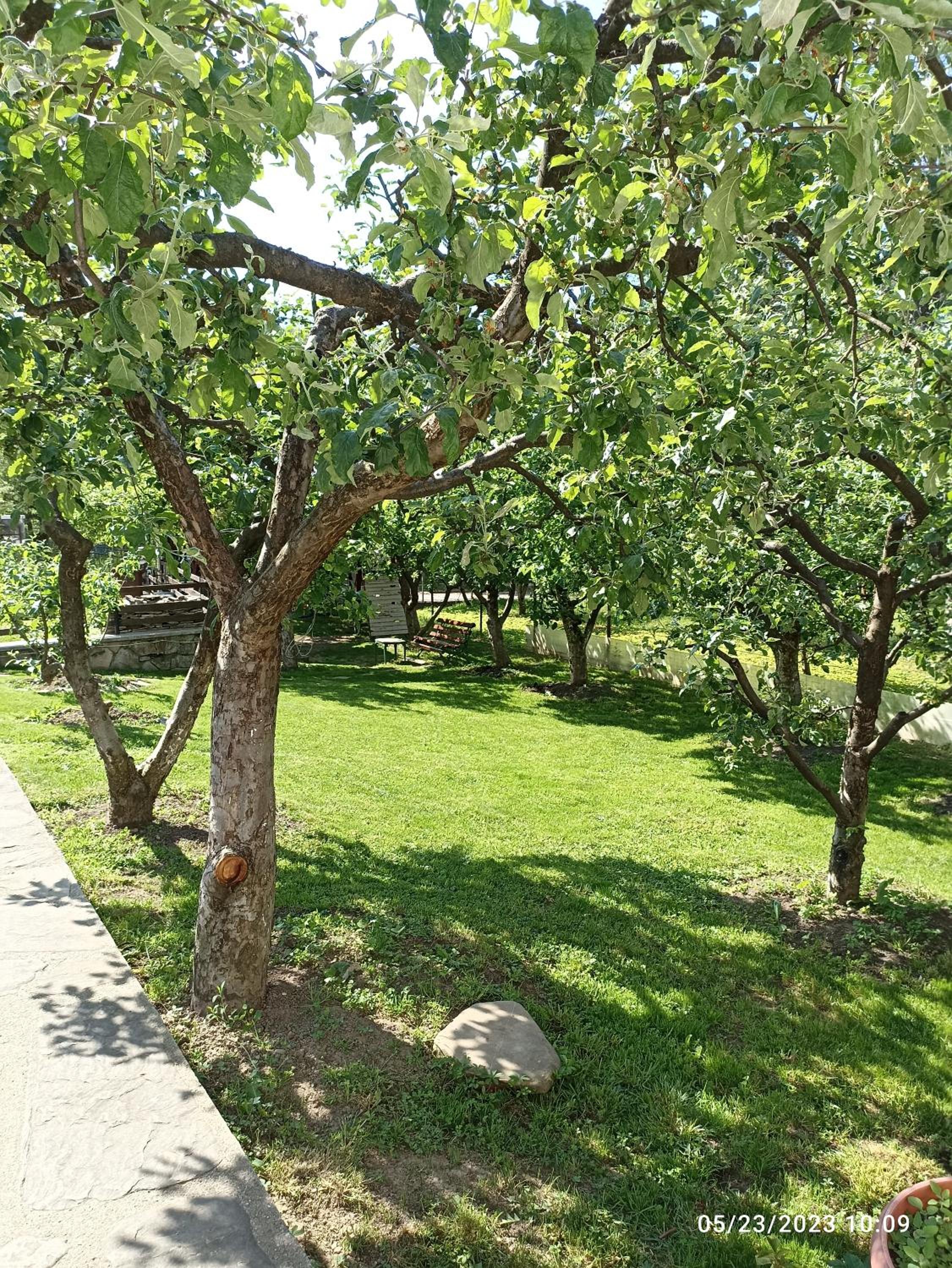 Photo 24
