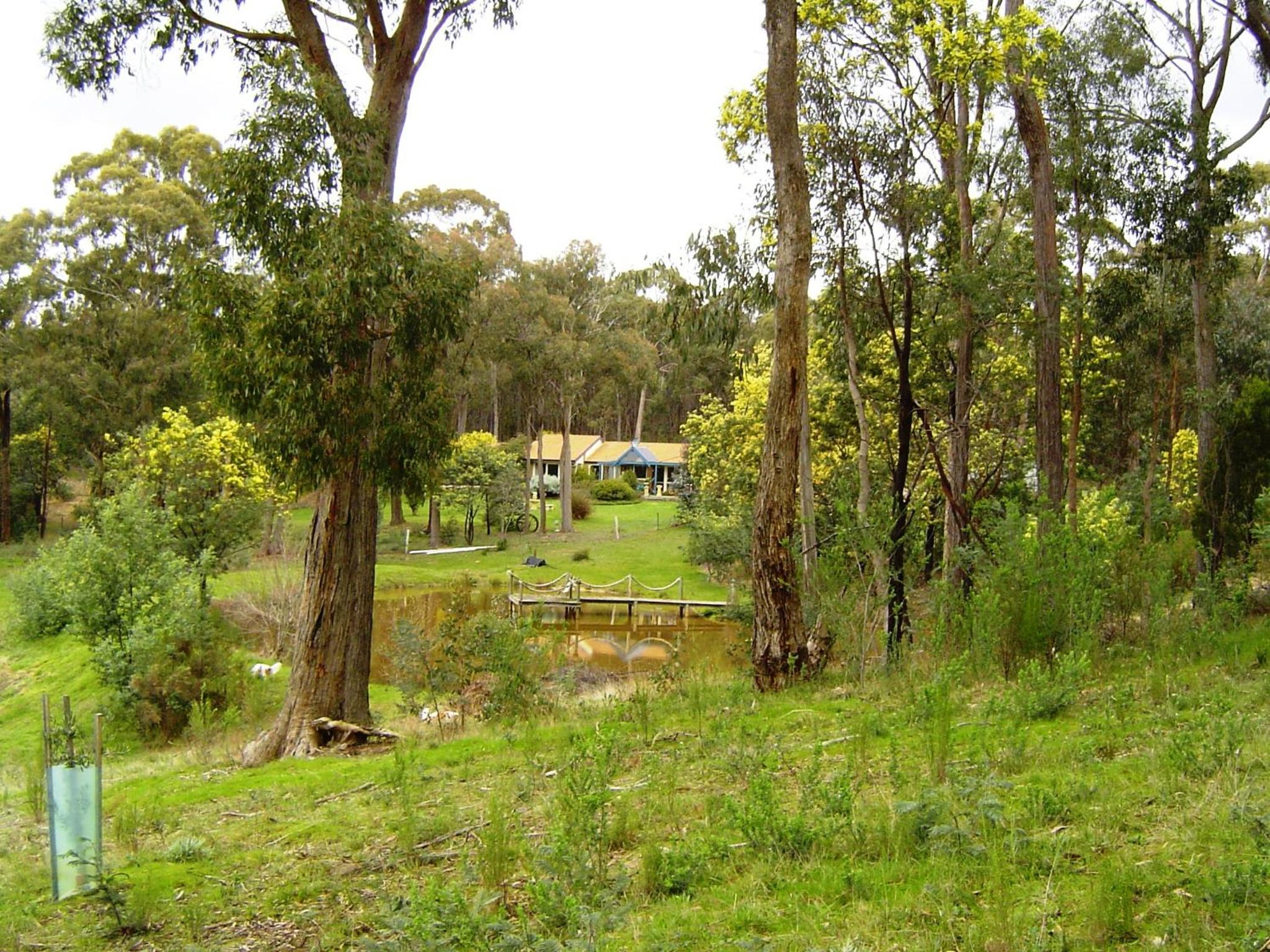 Countryside Retreat romantic tranquil native wildlife township Hepburn - Daylesford