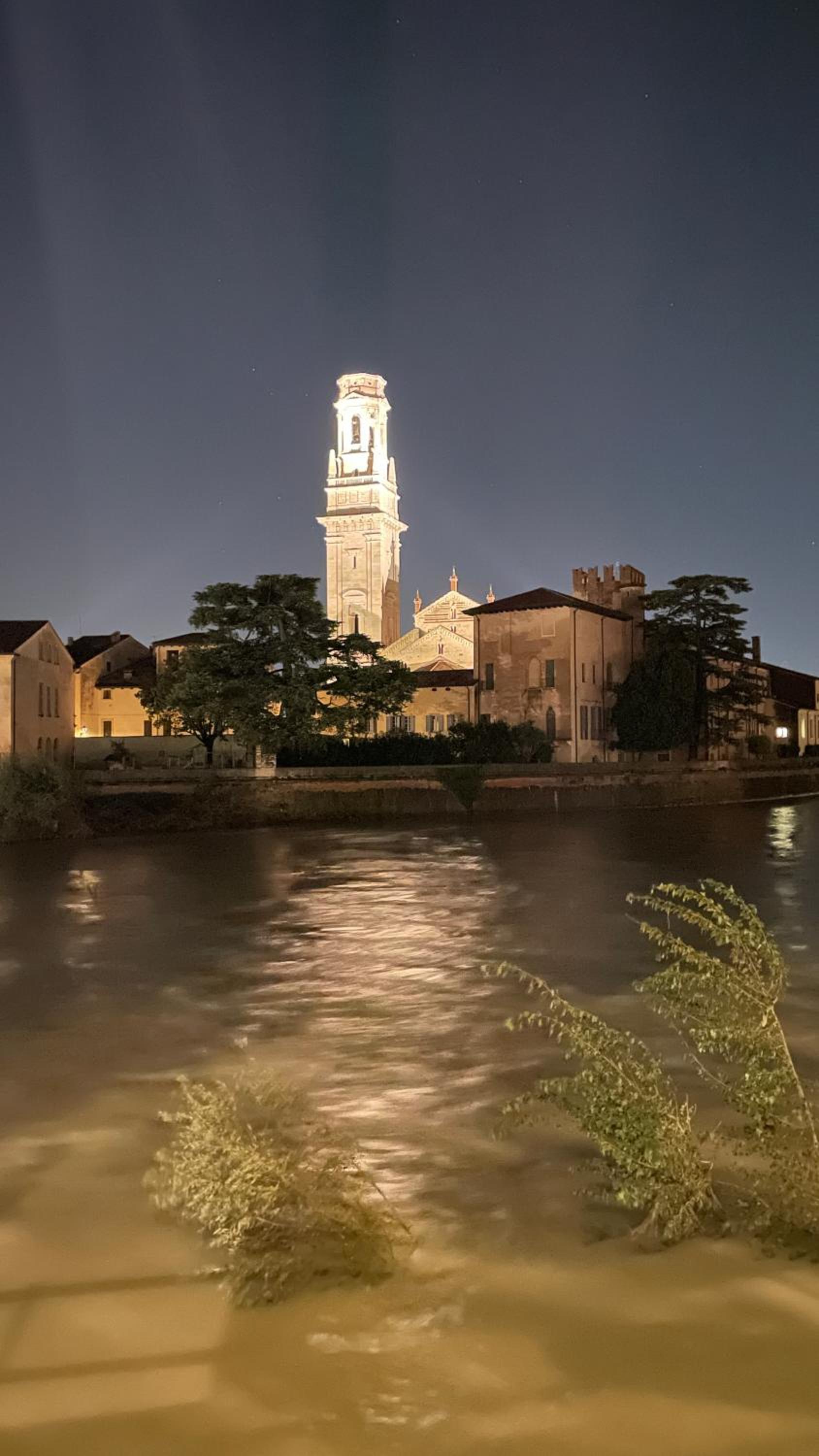 Casa di David