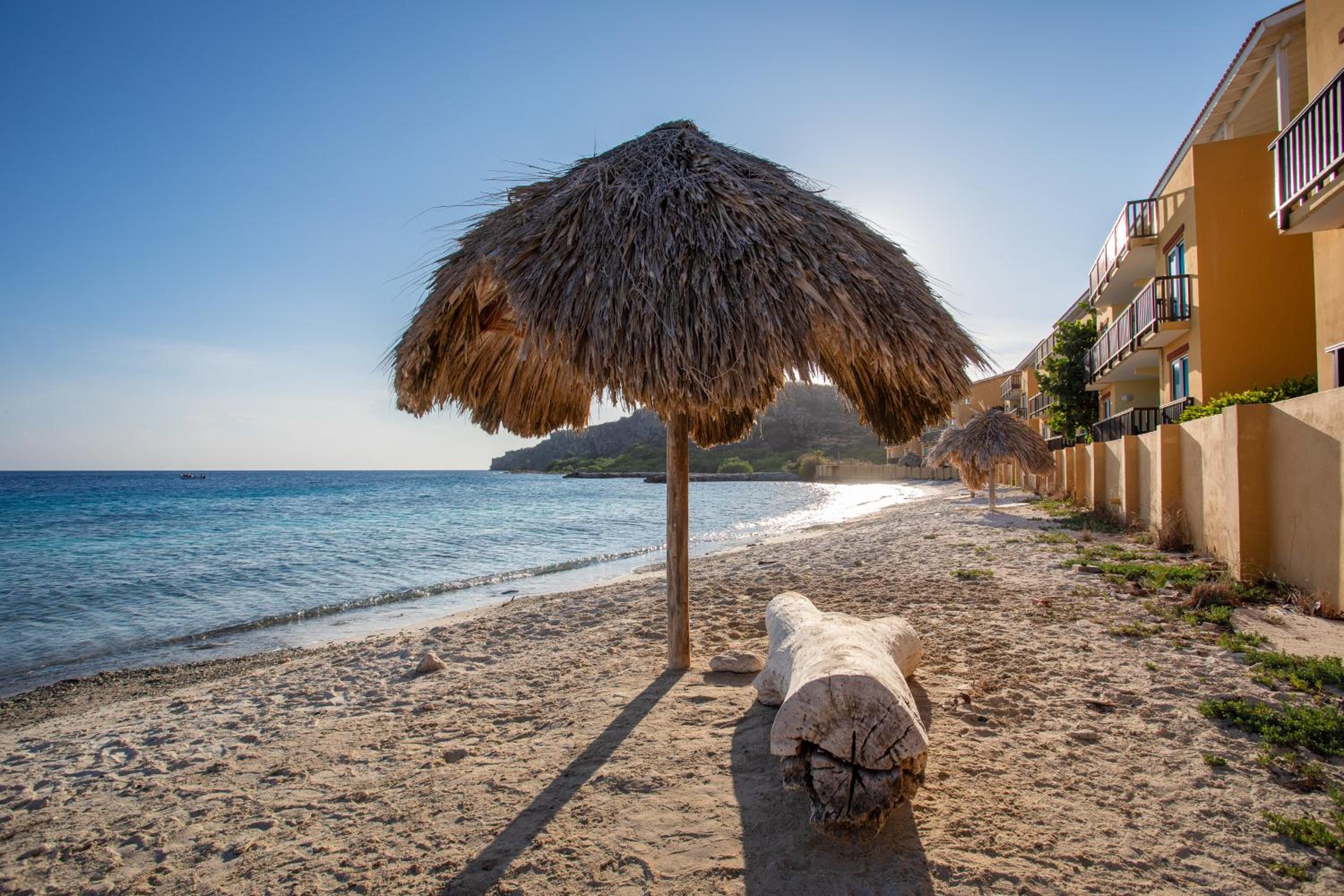 Palapa Beach Paradise