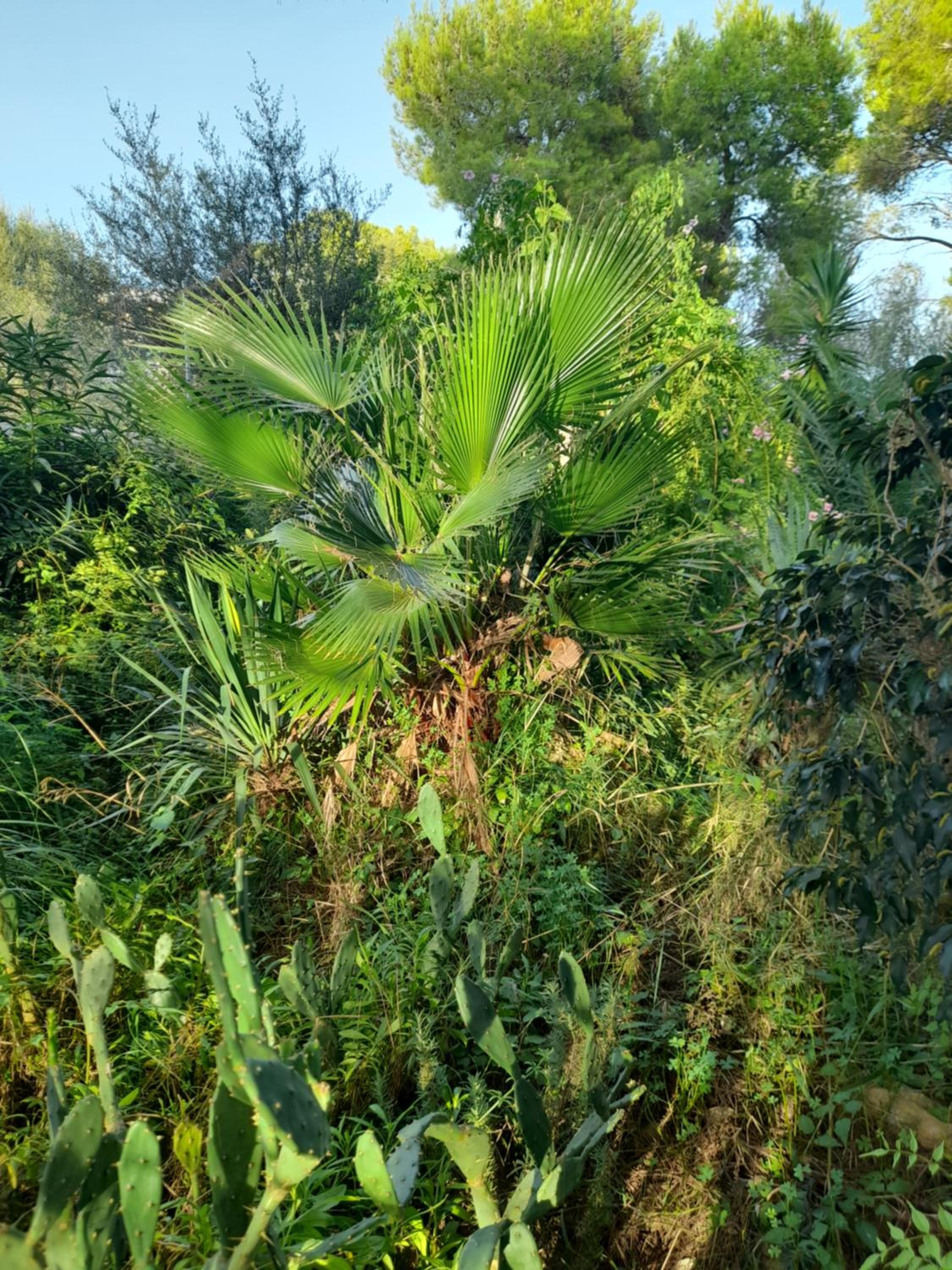 Casa Bamboo