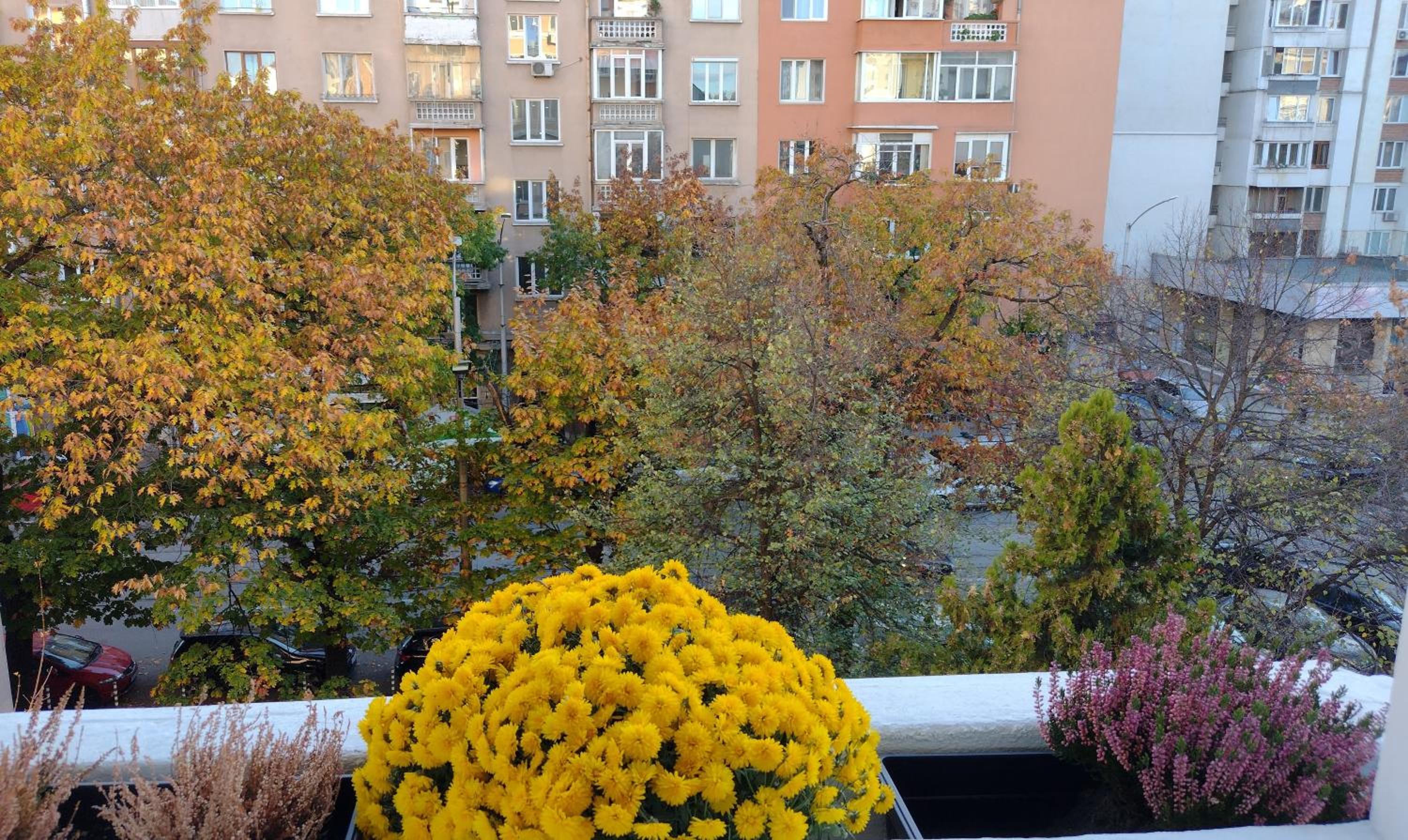 Sofia Center Chic Suite - Separate Kitchen and Balcony