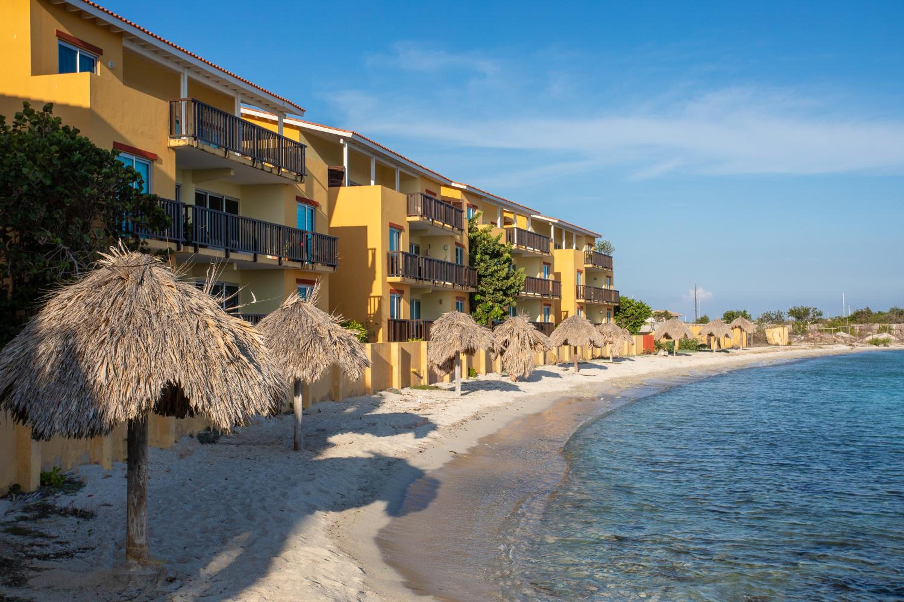 Palapa Beach Oasis