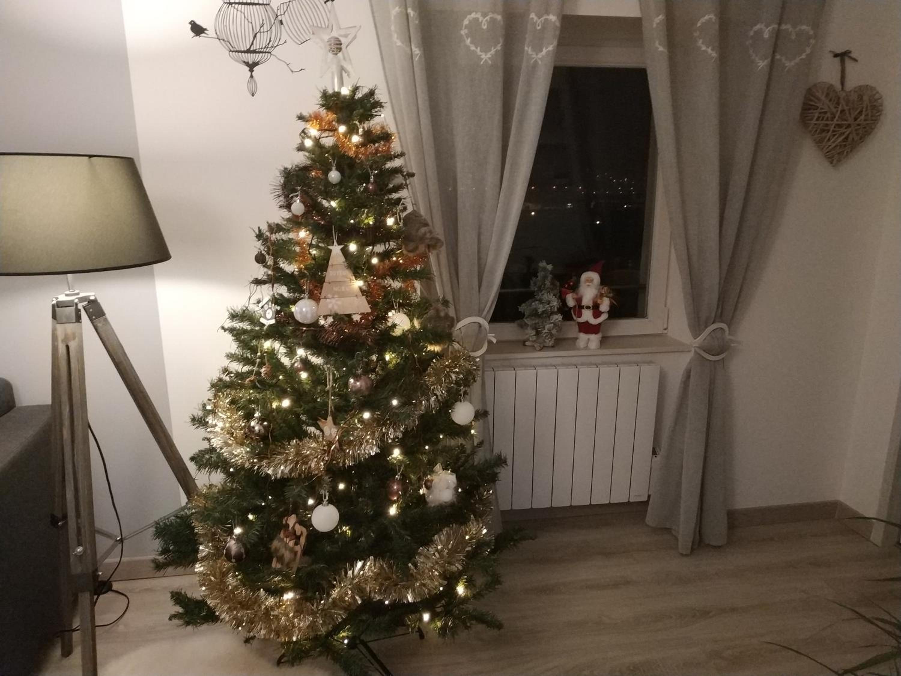 Photo 39