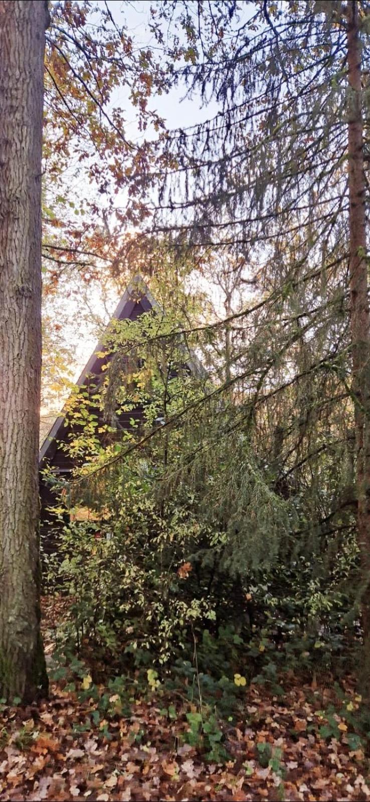 A Wood Lodge - zwembad - relax - natuur