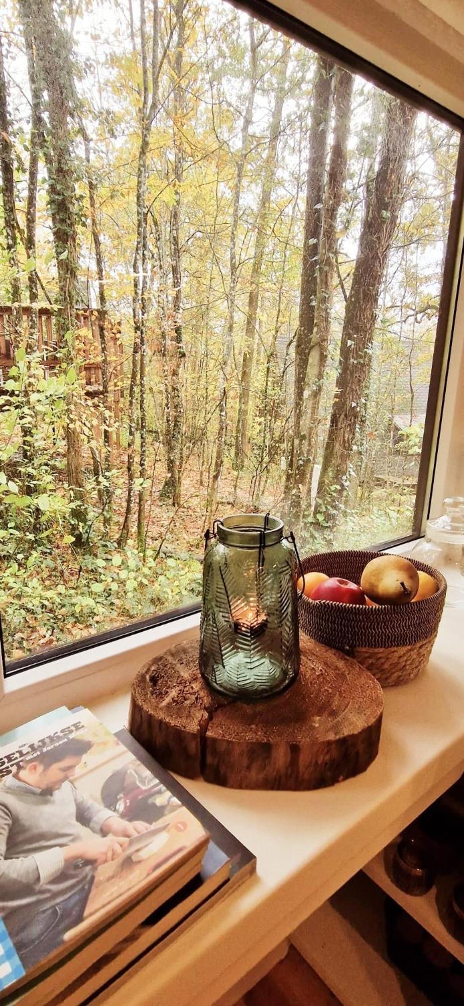 A Wood Lodge - zwembad - relax - natuur