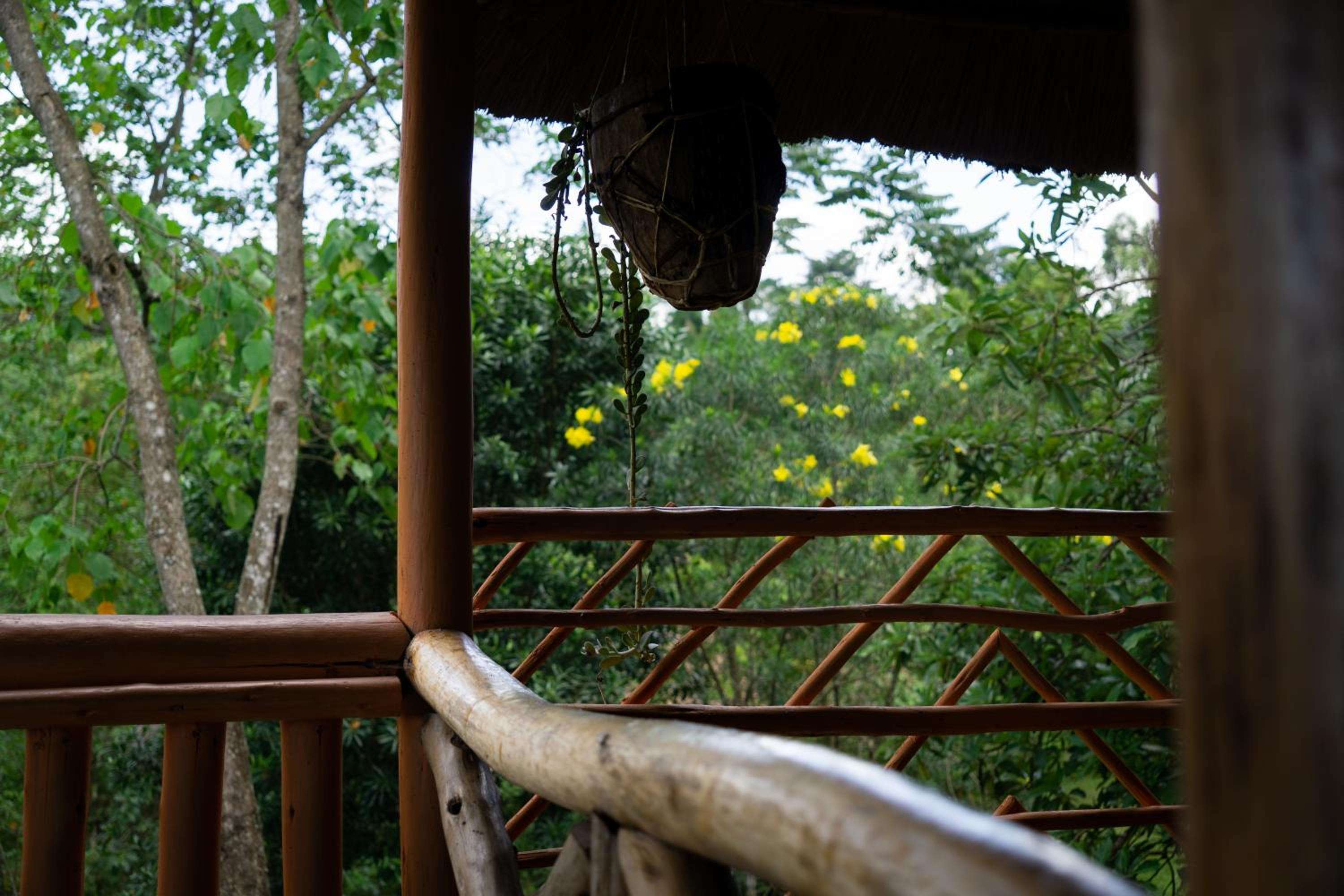 Dave the Cave Eco Lodge and Cultural Campsite