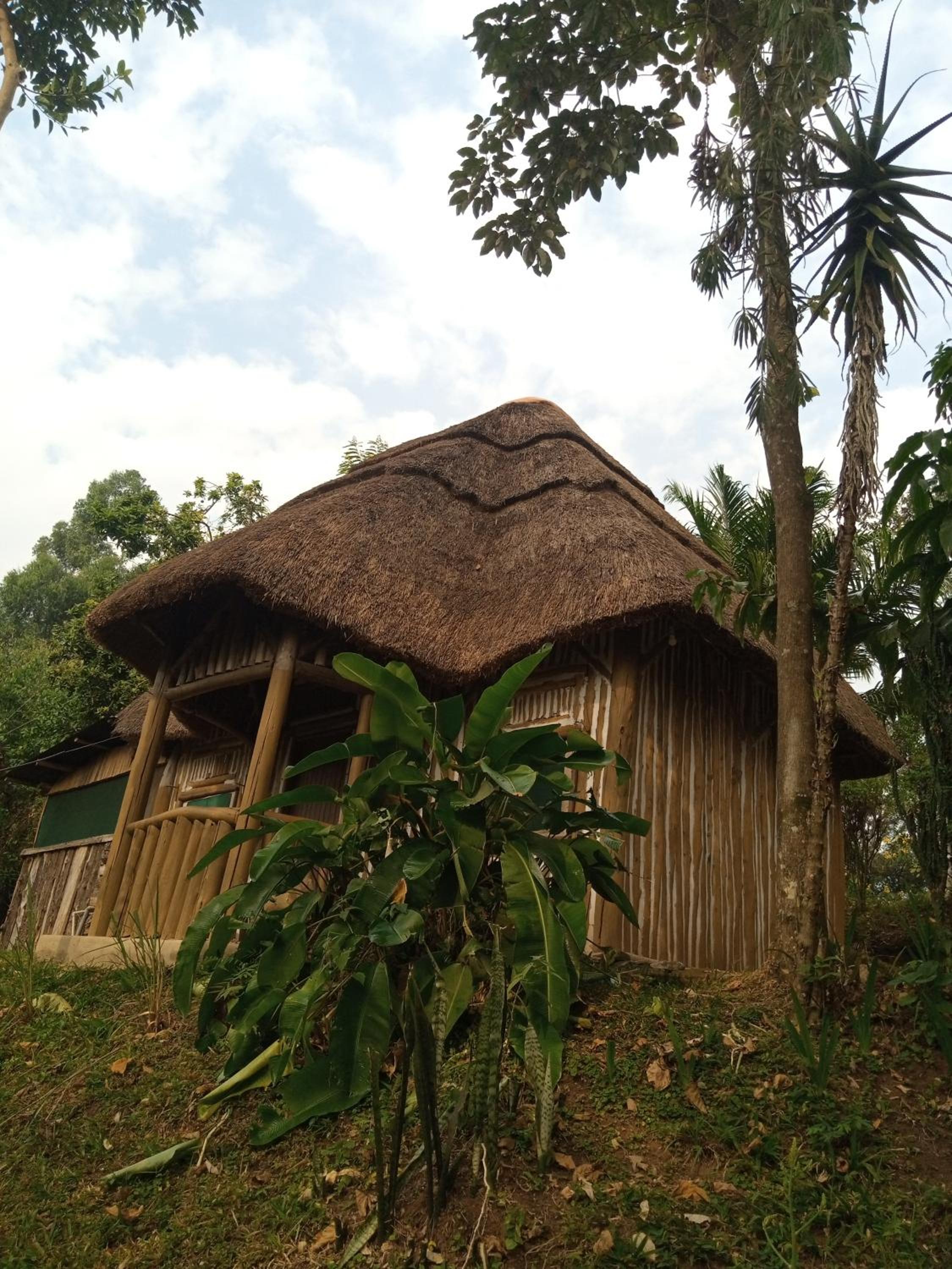 Dave the Cave Eco Lodge and Cultural Campsite