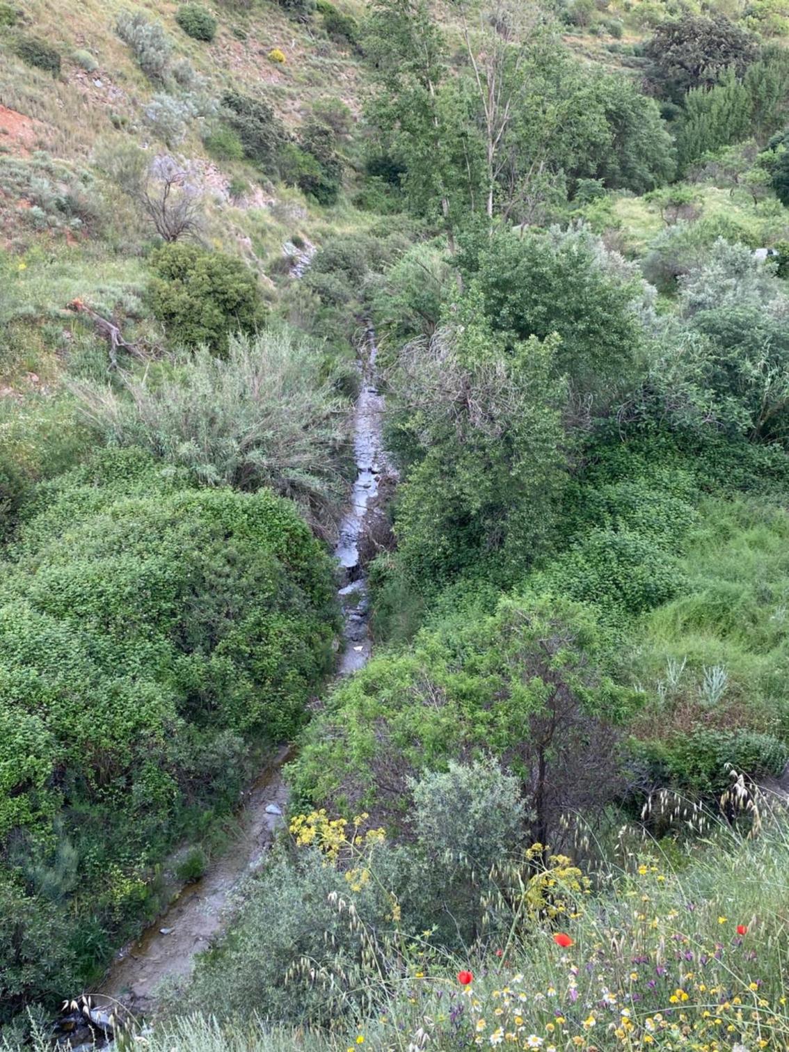 Photo 38