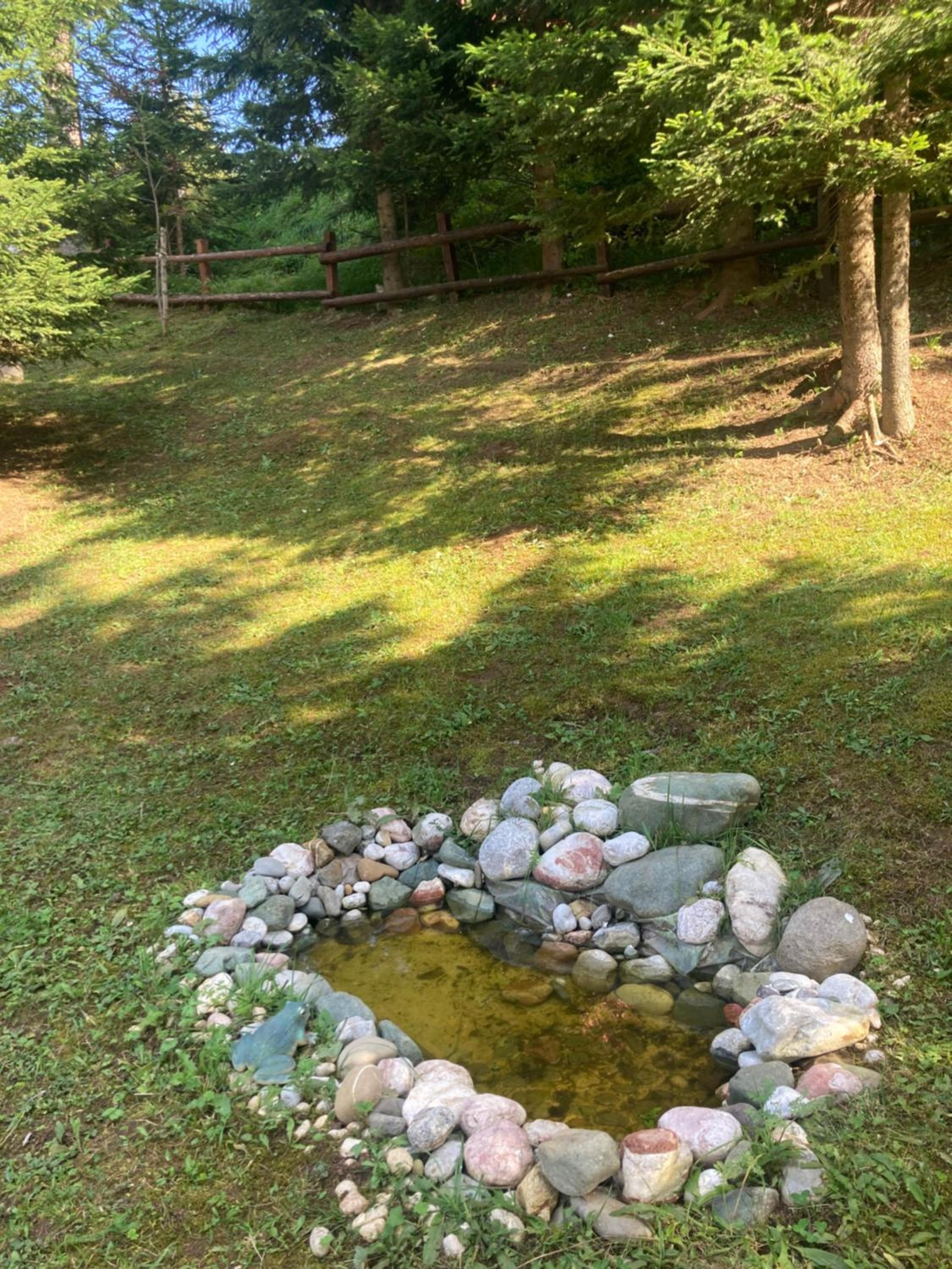 Photo 26