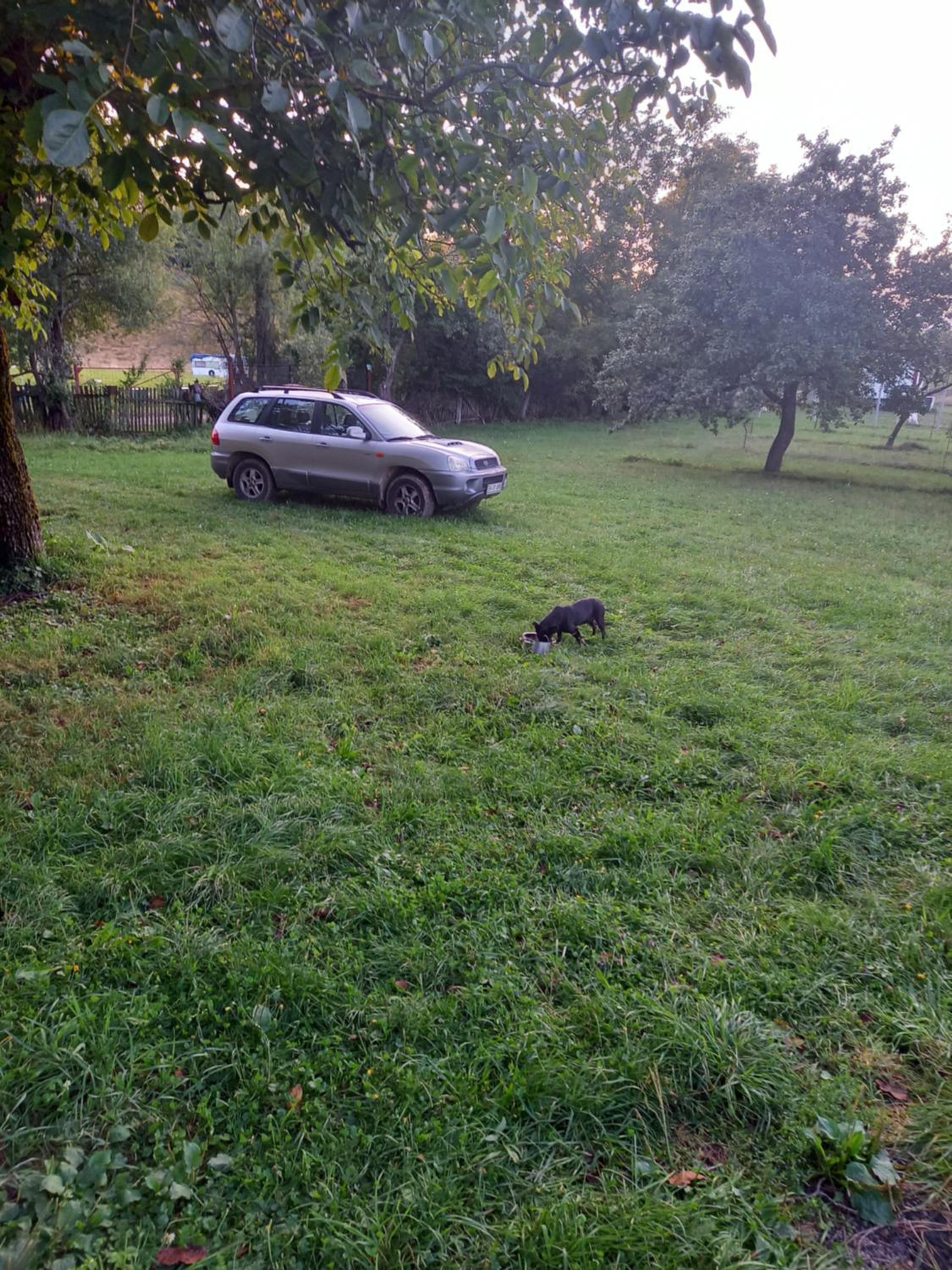Viata Naturala Green Life view 2