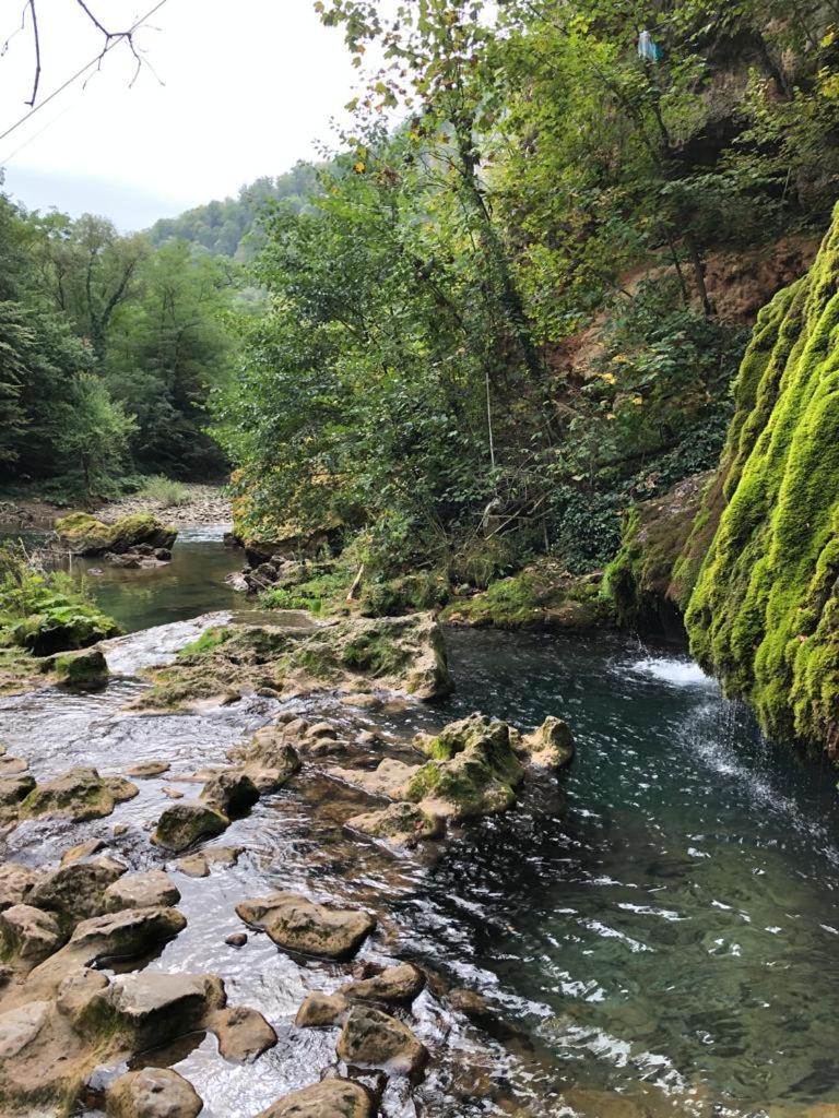 Viata Naturala Green Life view 5