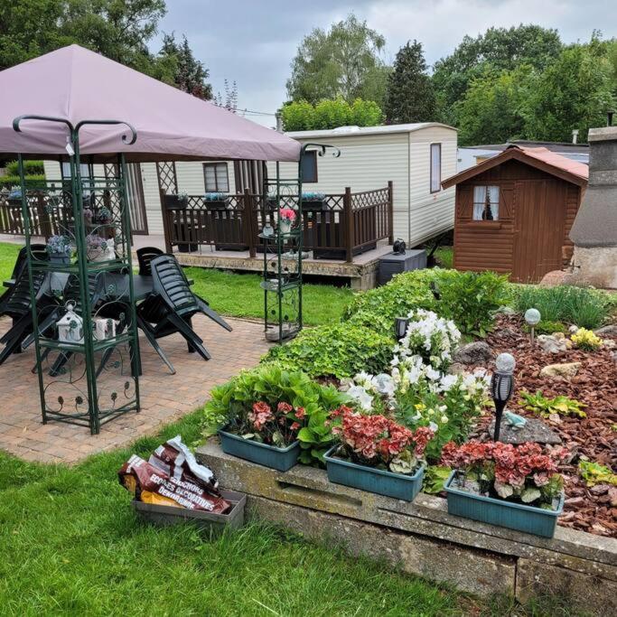 Au jardin d'éden