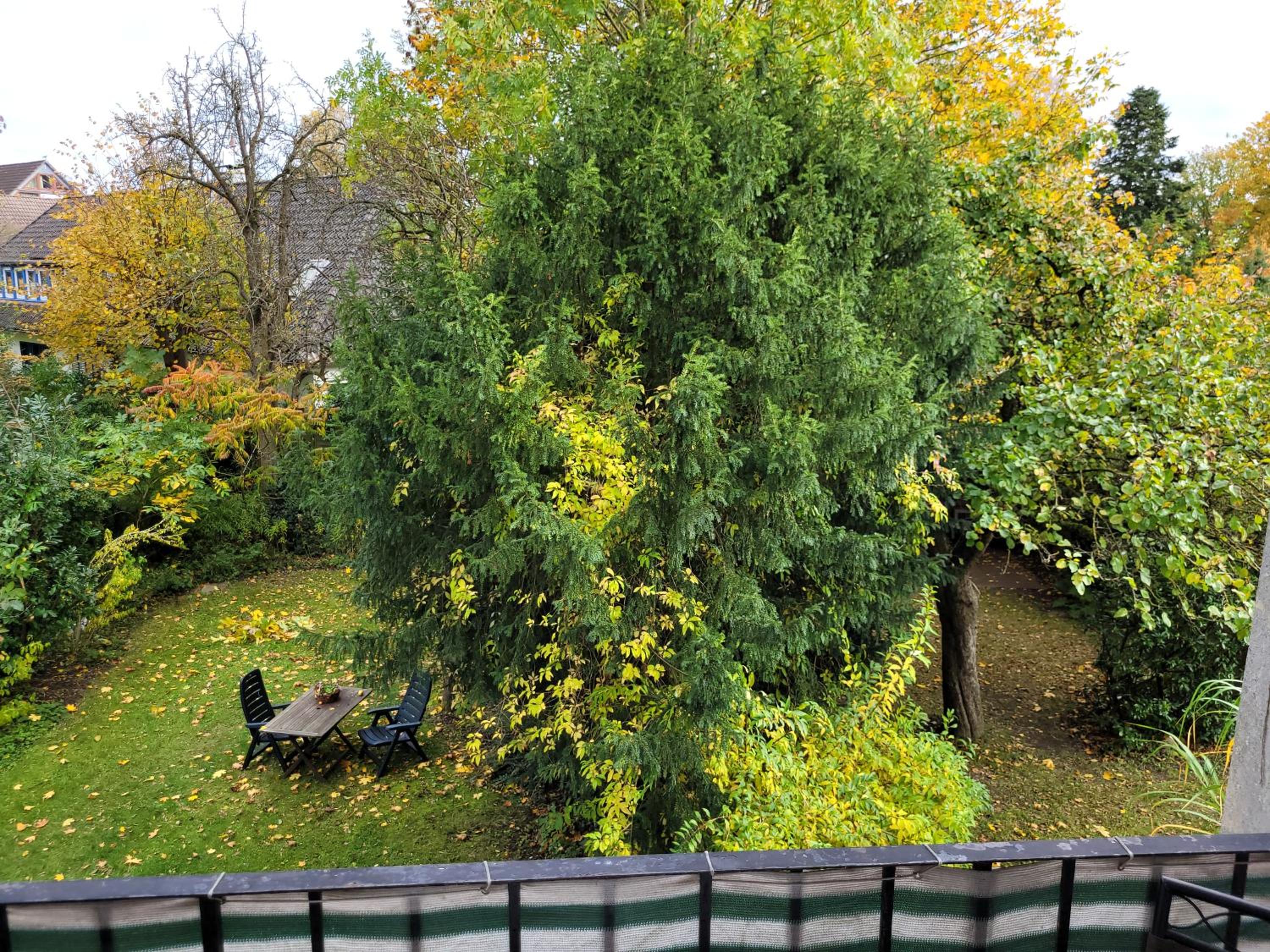 Stilvoll eingerichtete Altbauwohnung