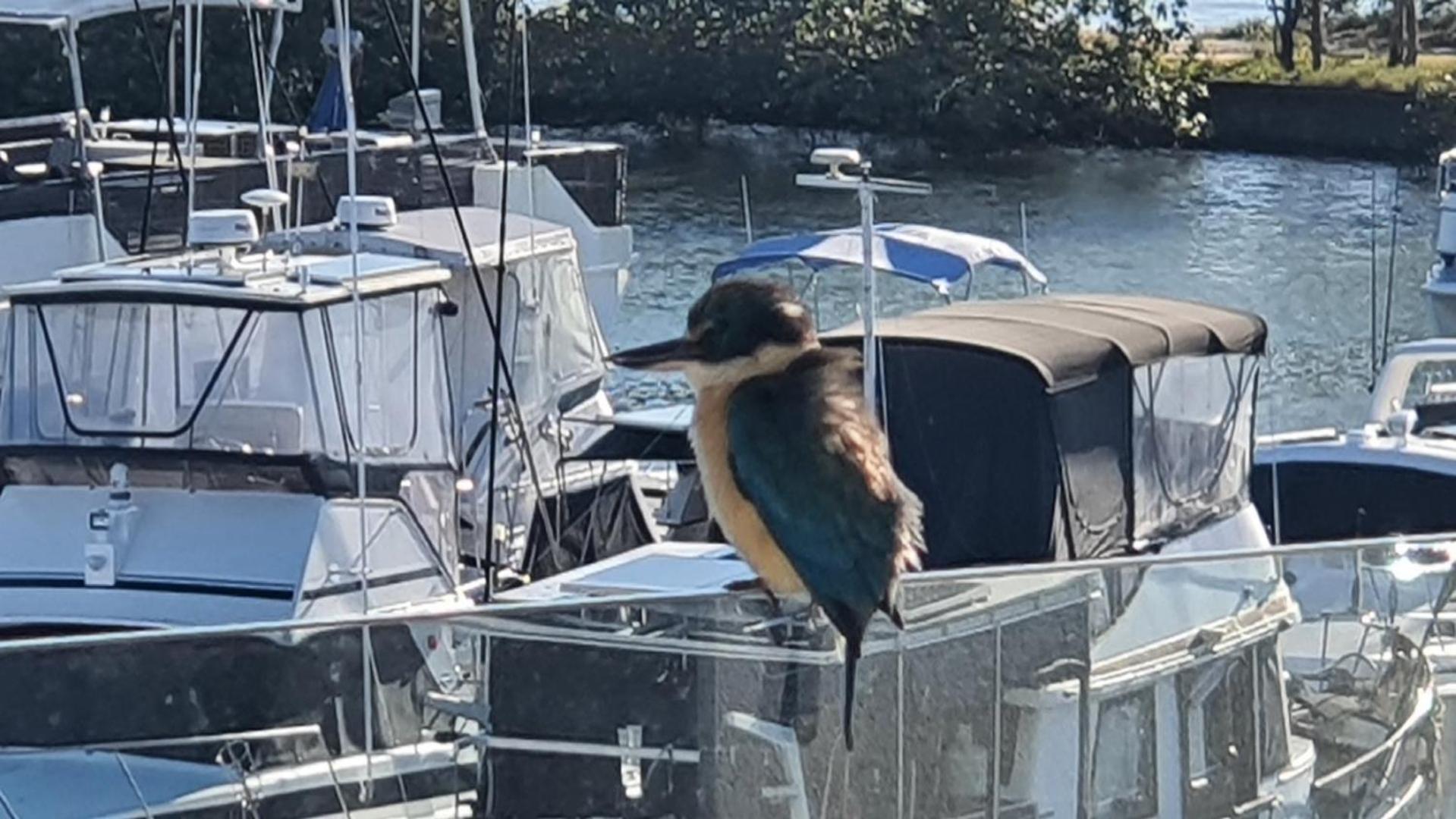 Modern Unit On The Marina