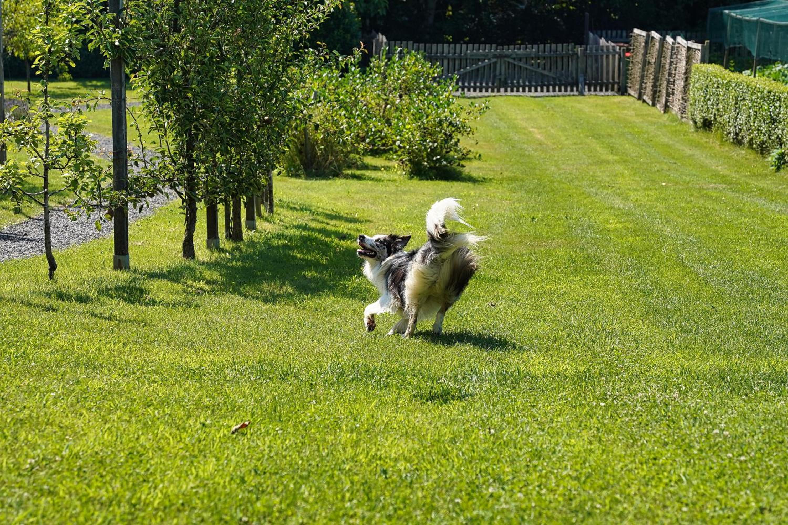 Photo 44