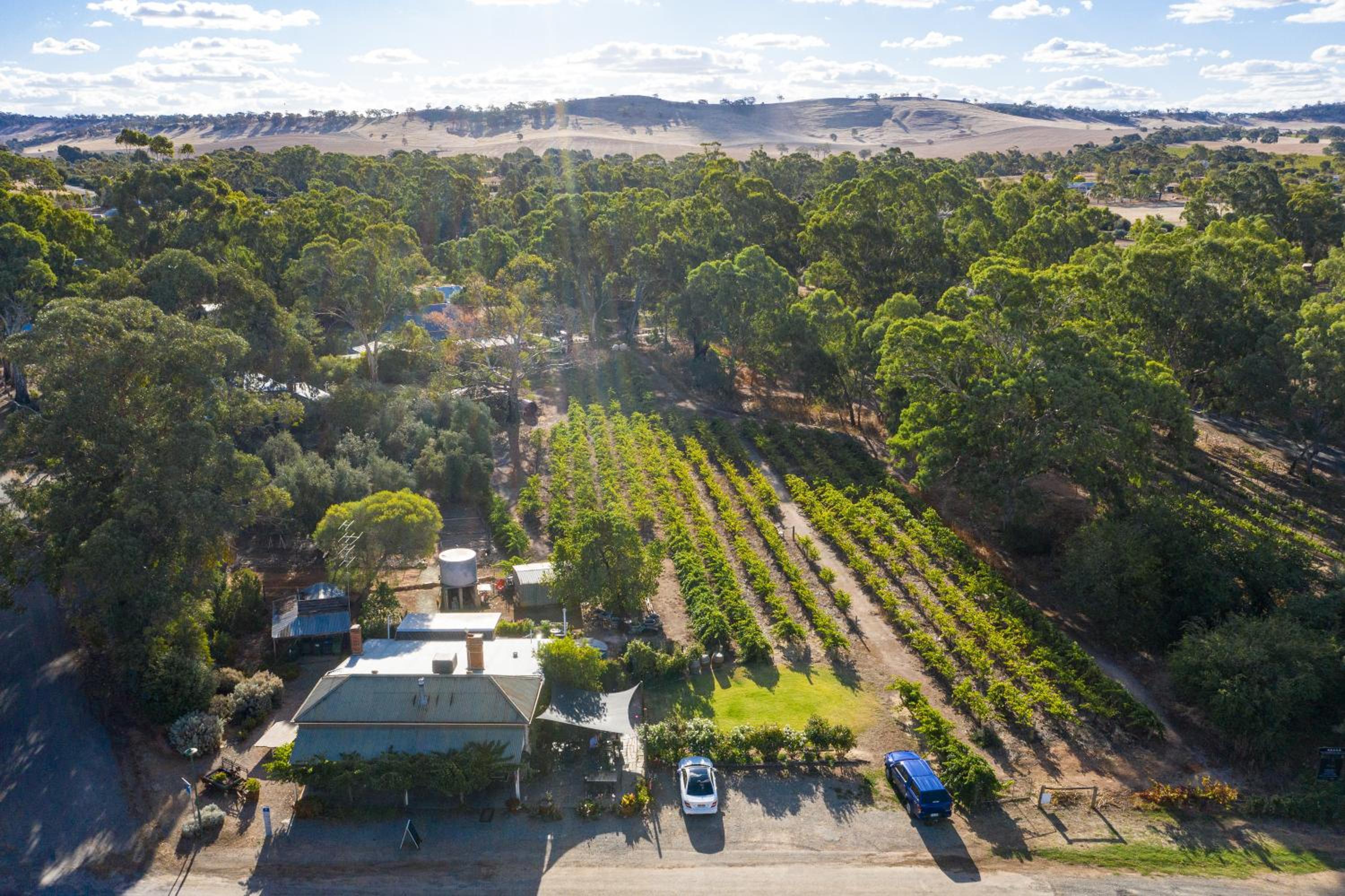 Reillys Wines Heritage Cottages