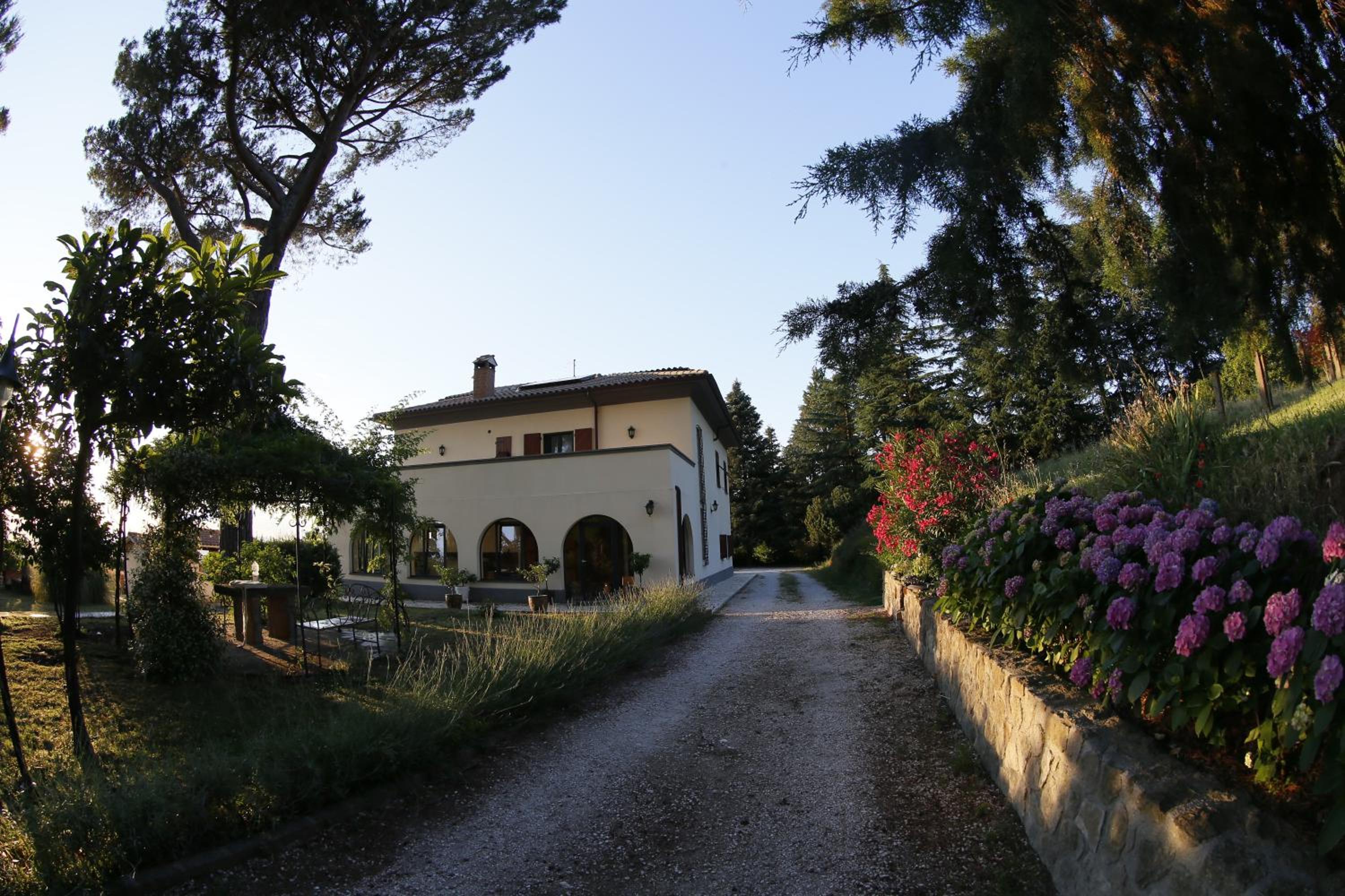 Villa Degli Ulivi view 5