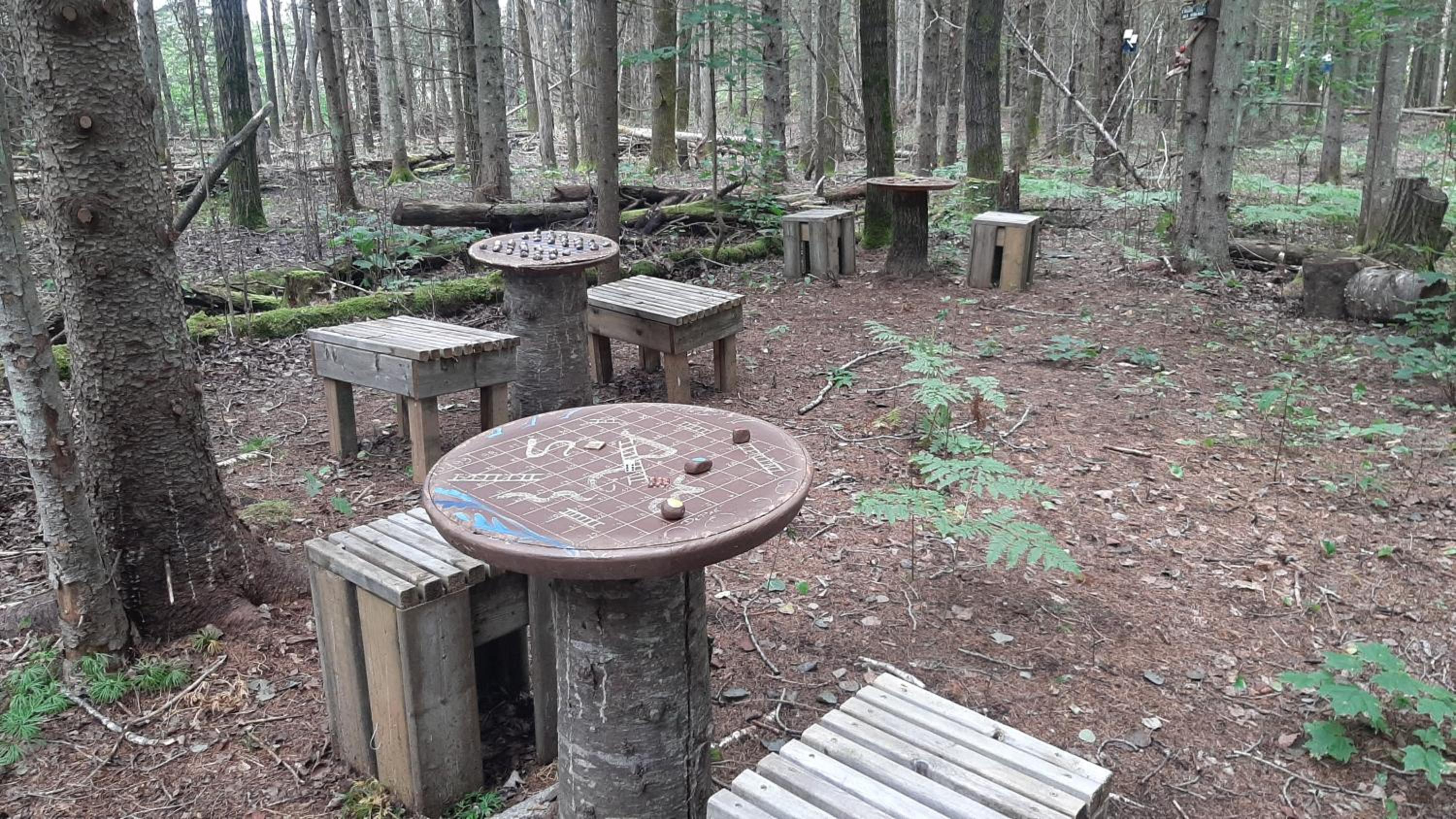 Le dôme des yourtes du petit ruisseau view 5