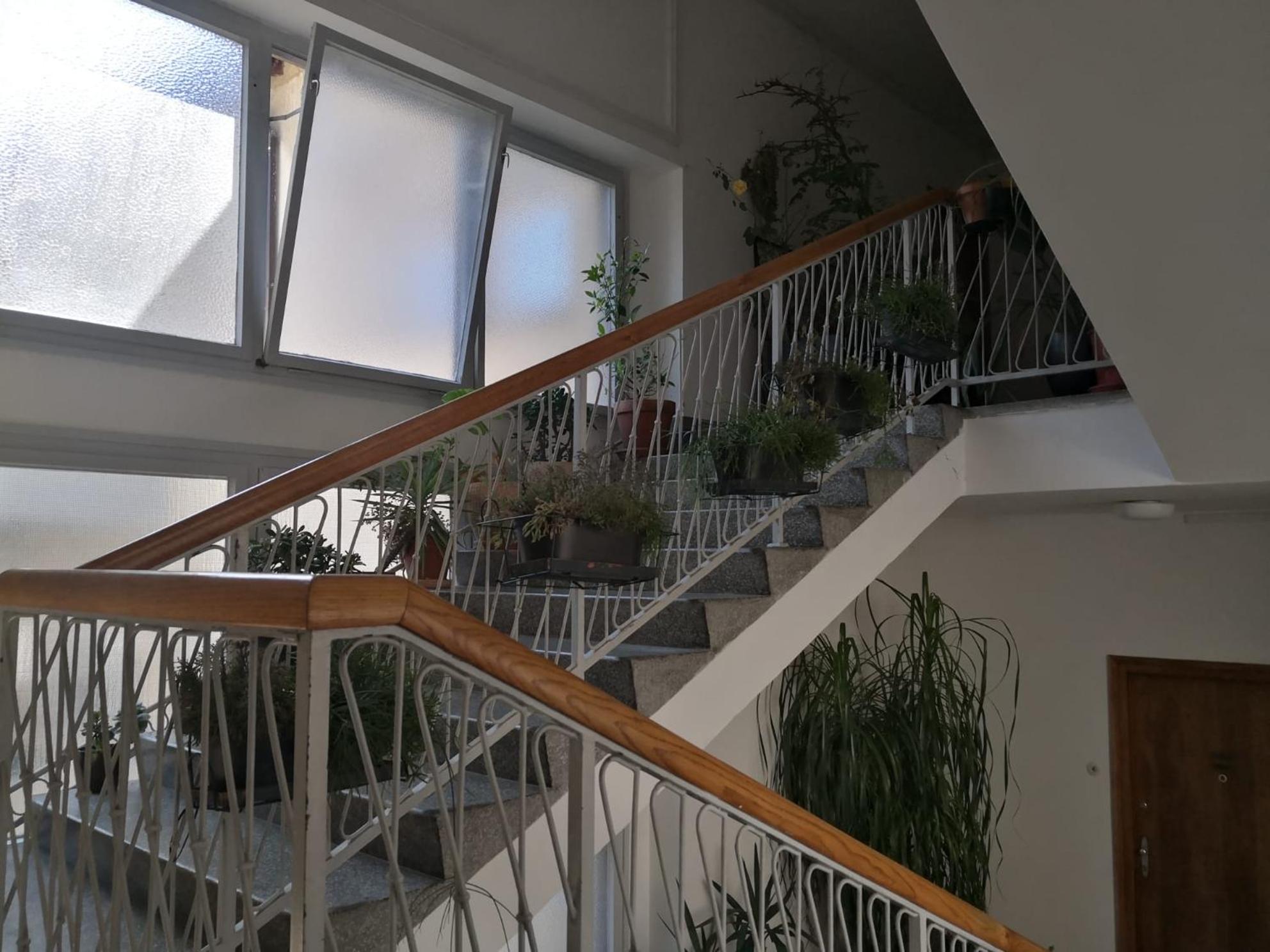 Centrally Chic Studio