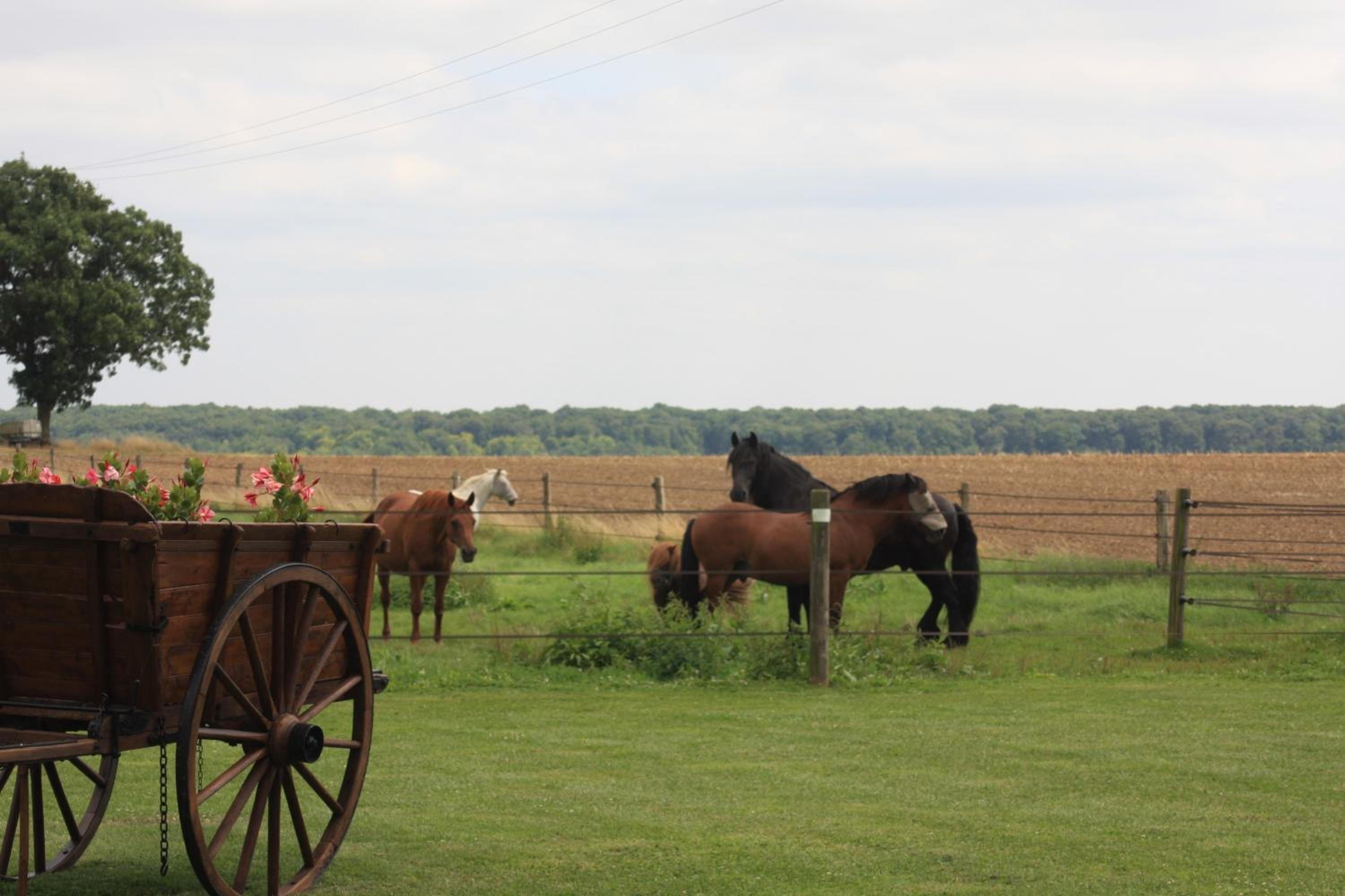La Grange de Boulaines view 4