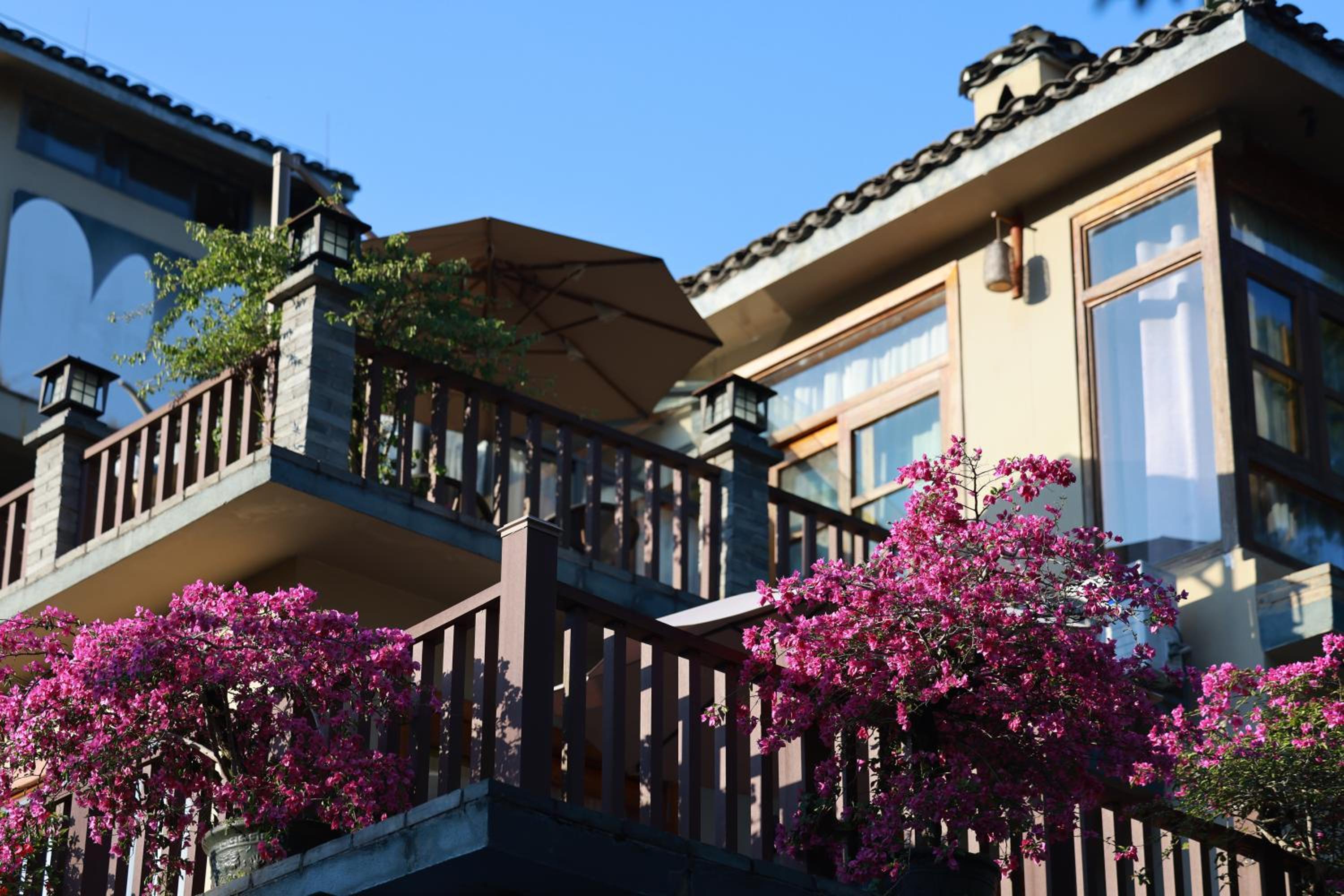 Moondance Boutique Resort