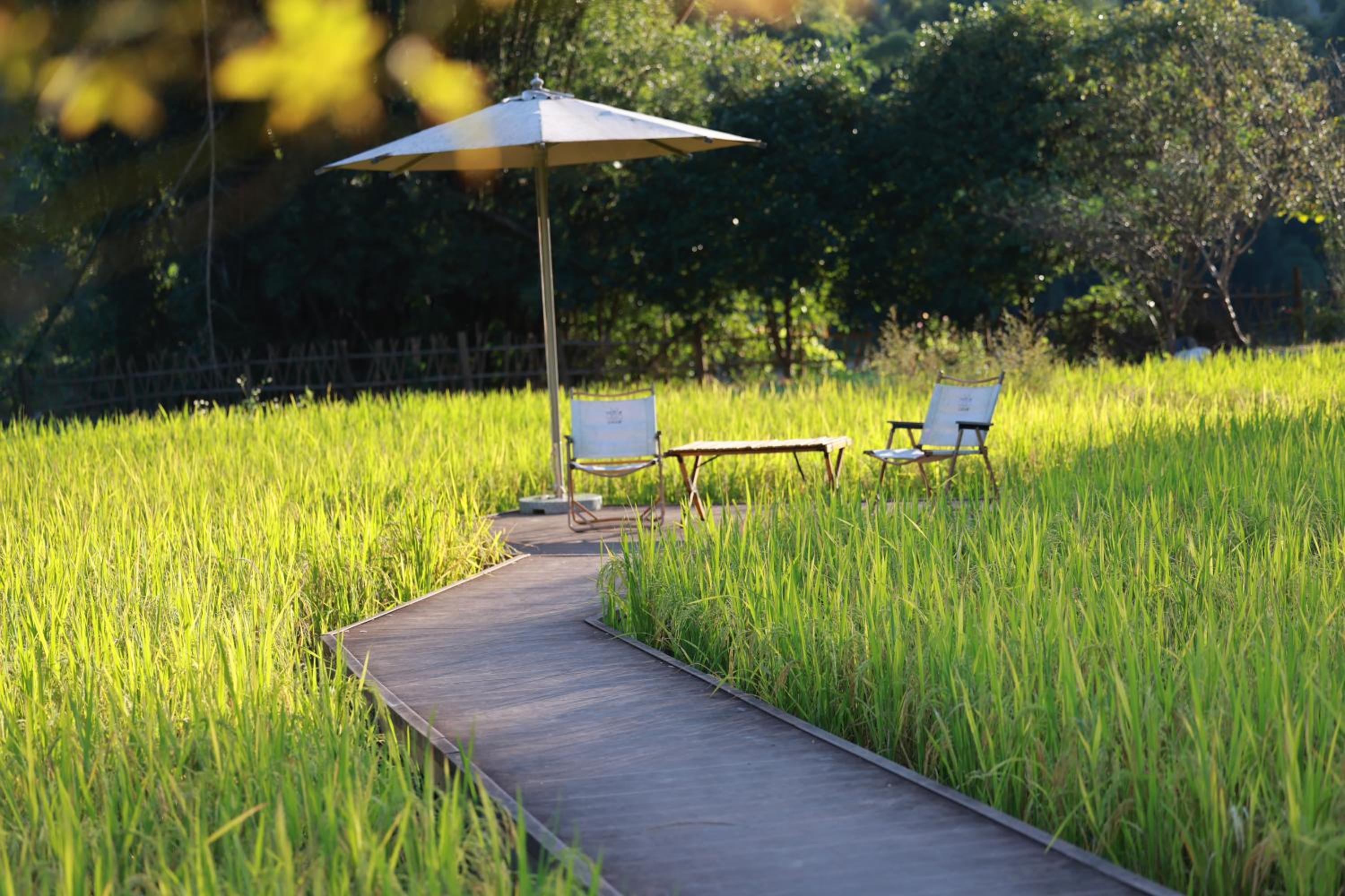 Moondance Boutique Resort