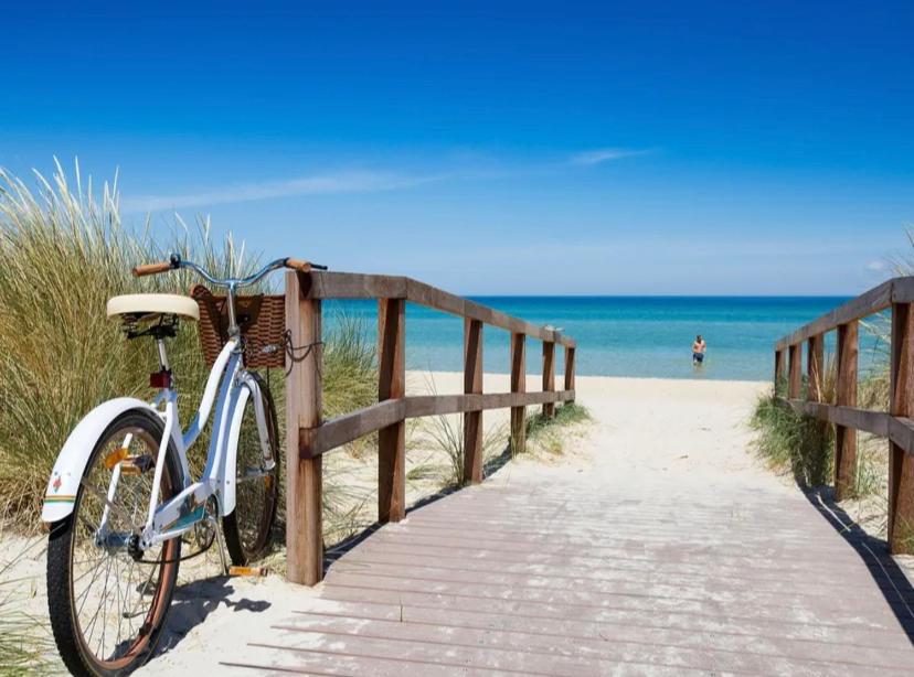 Bonbeach Beauty