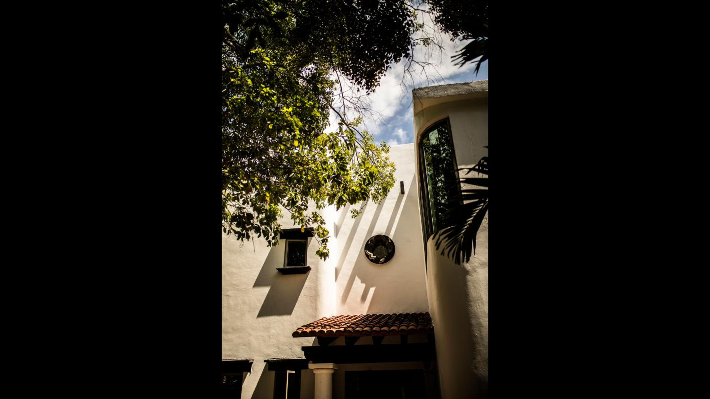 Photo 48