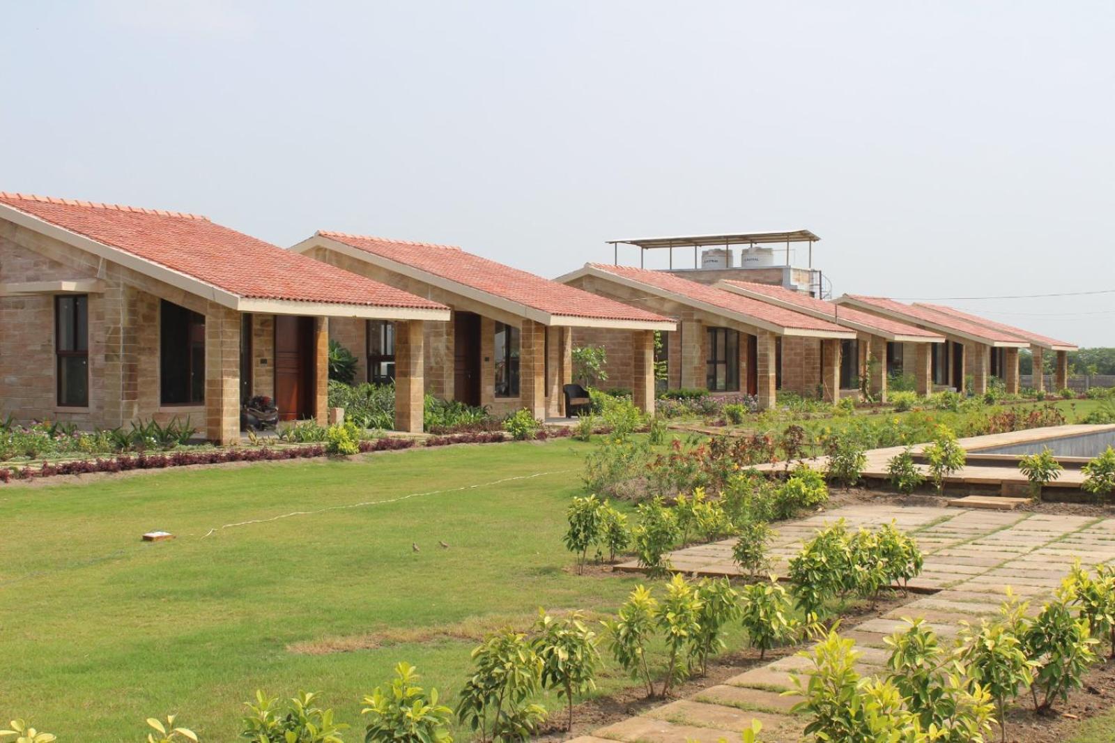 The Blackbuck Trails Velavadar