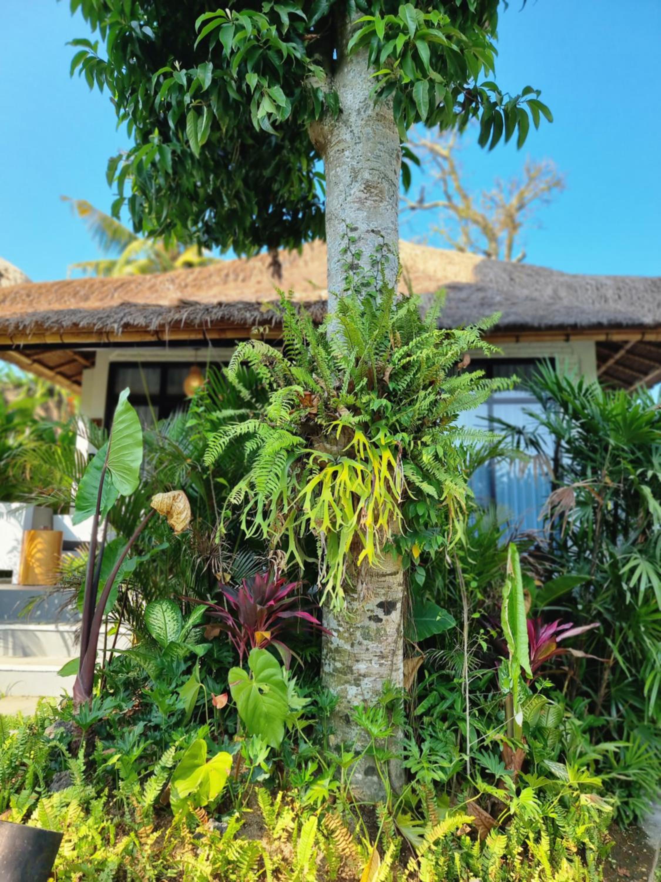 Ubud Dedari Villas