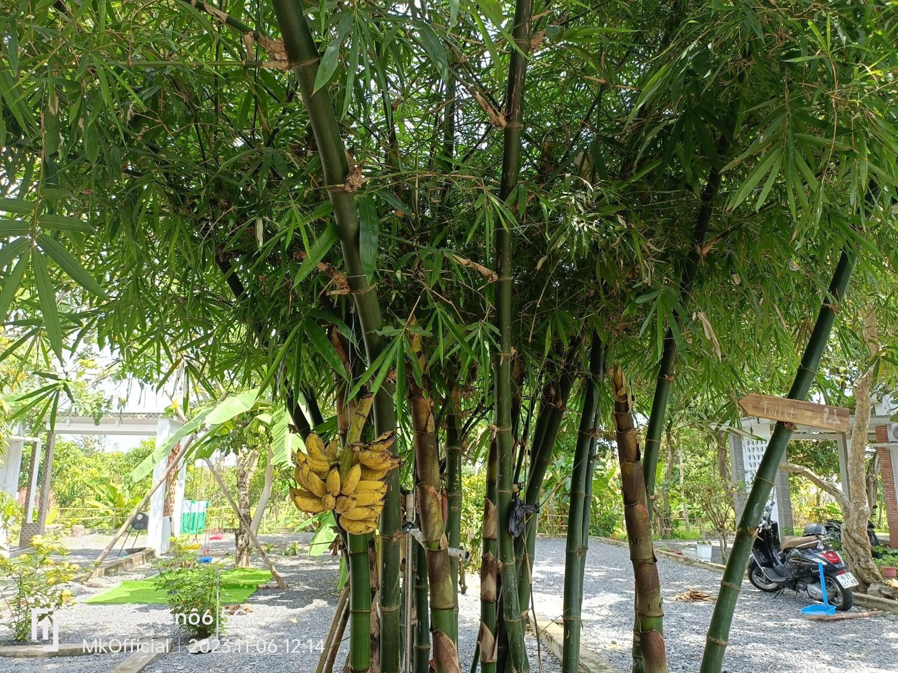 Photo 17