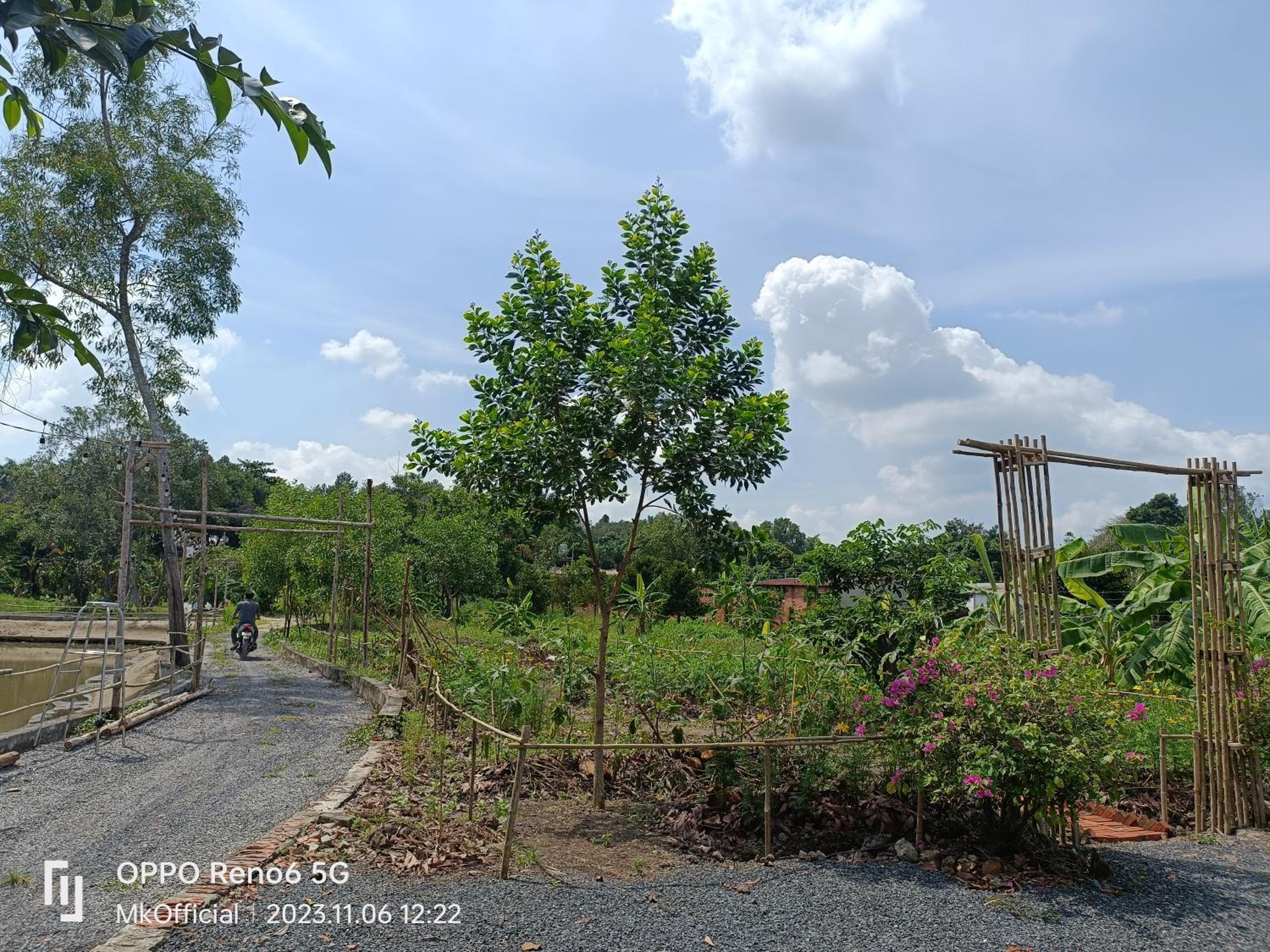 Homestay Mẹ Khang 2,ngay Địa Đạo Củ Chi Bến Đình view 4