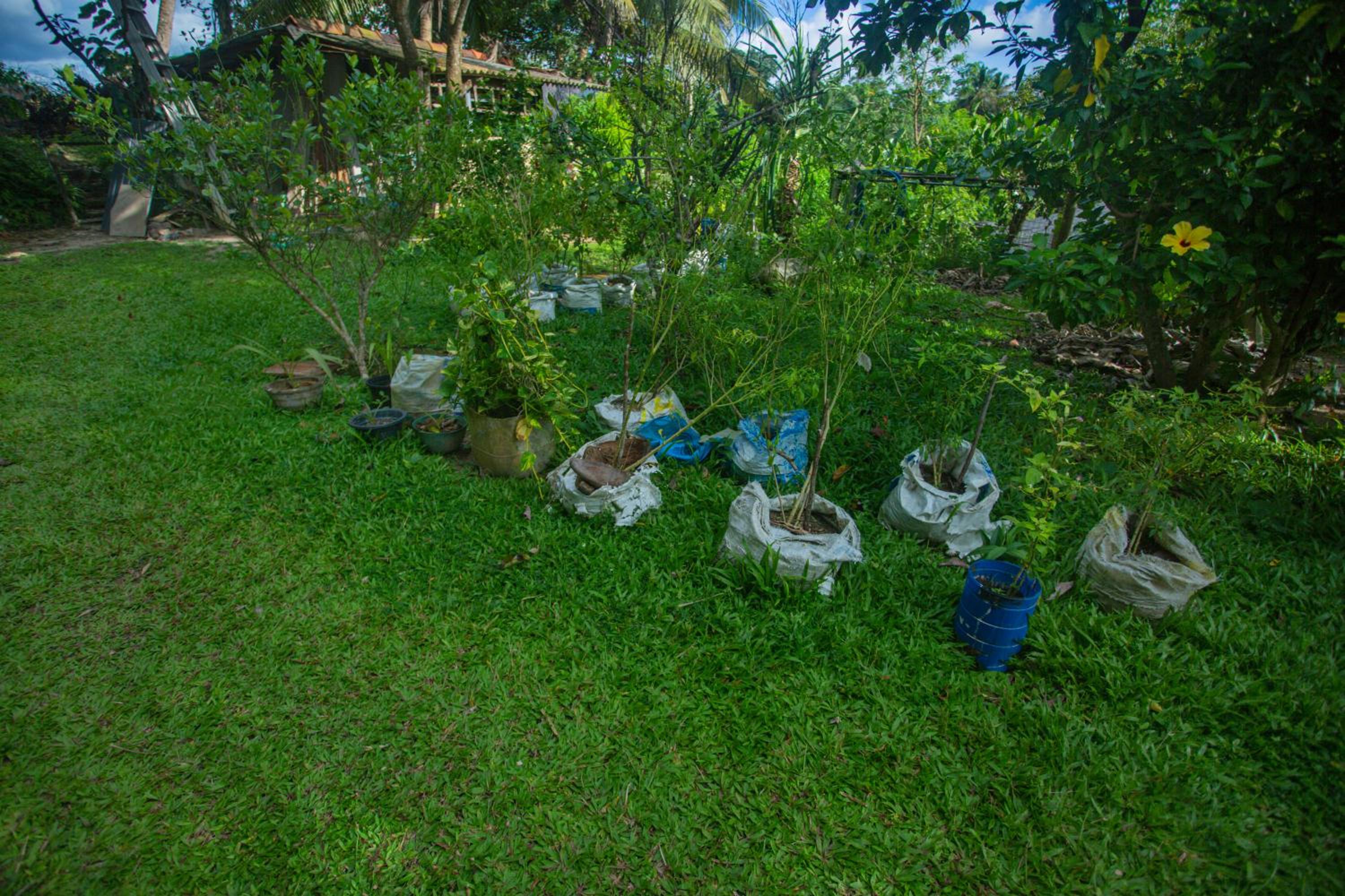Photo 22