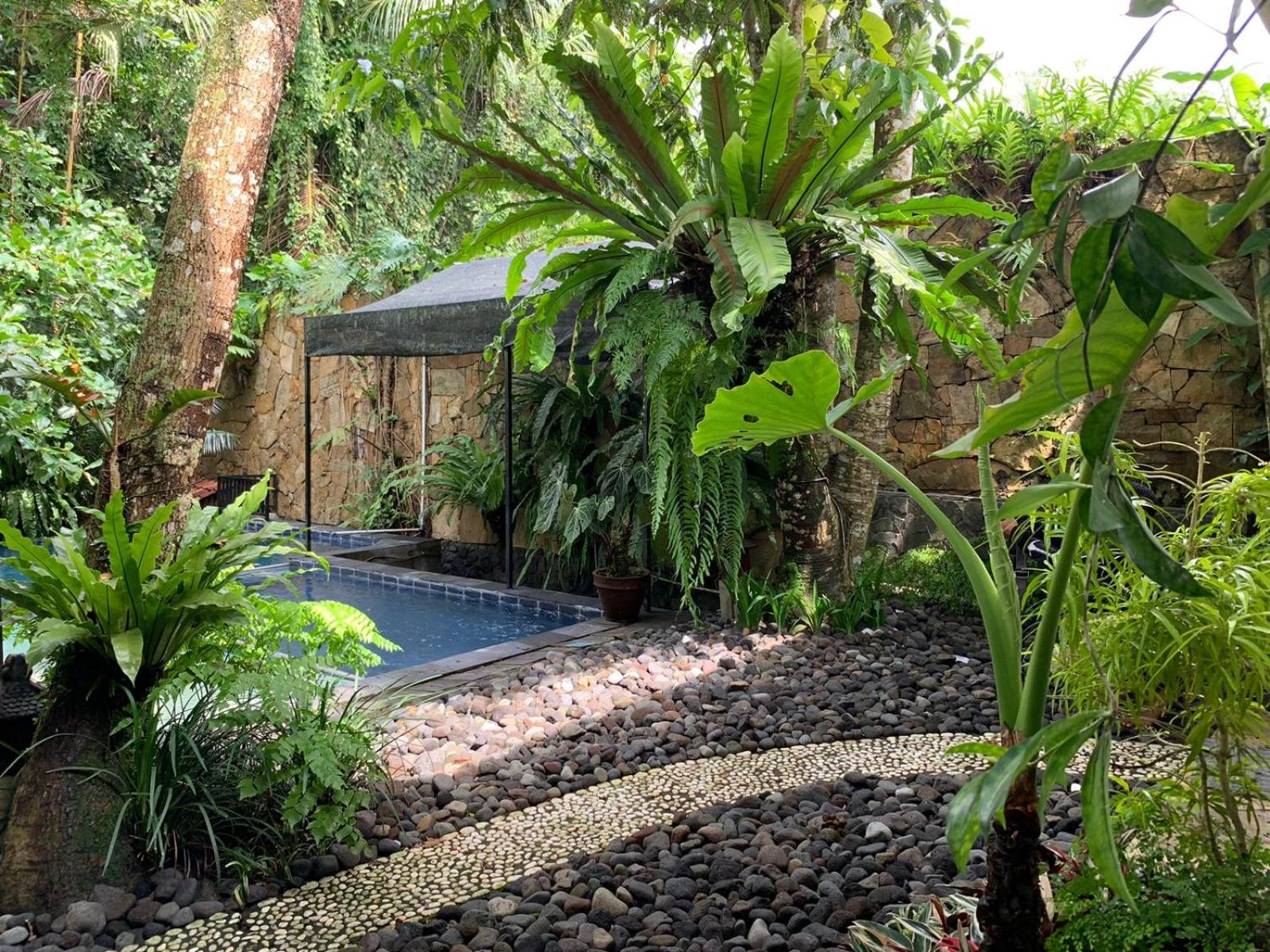 Griya Oma Nining-Large House with Swimming Pool view 3
