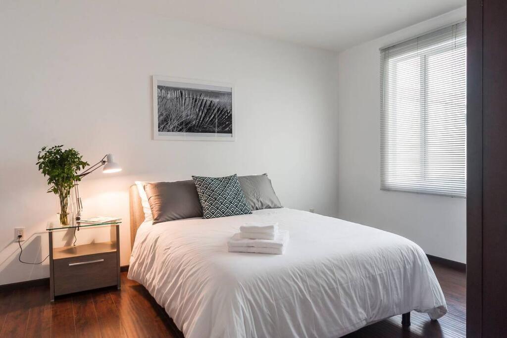 Condesa Residence Campeche 8 Urban Elegance 2BR 1BA Apartment with Large Living Areas photo 2