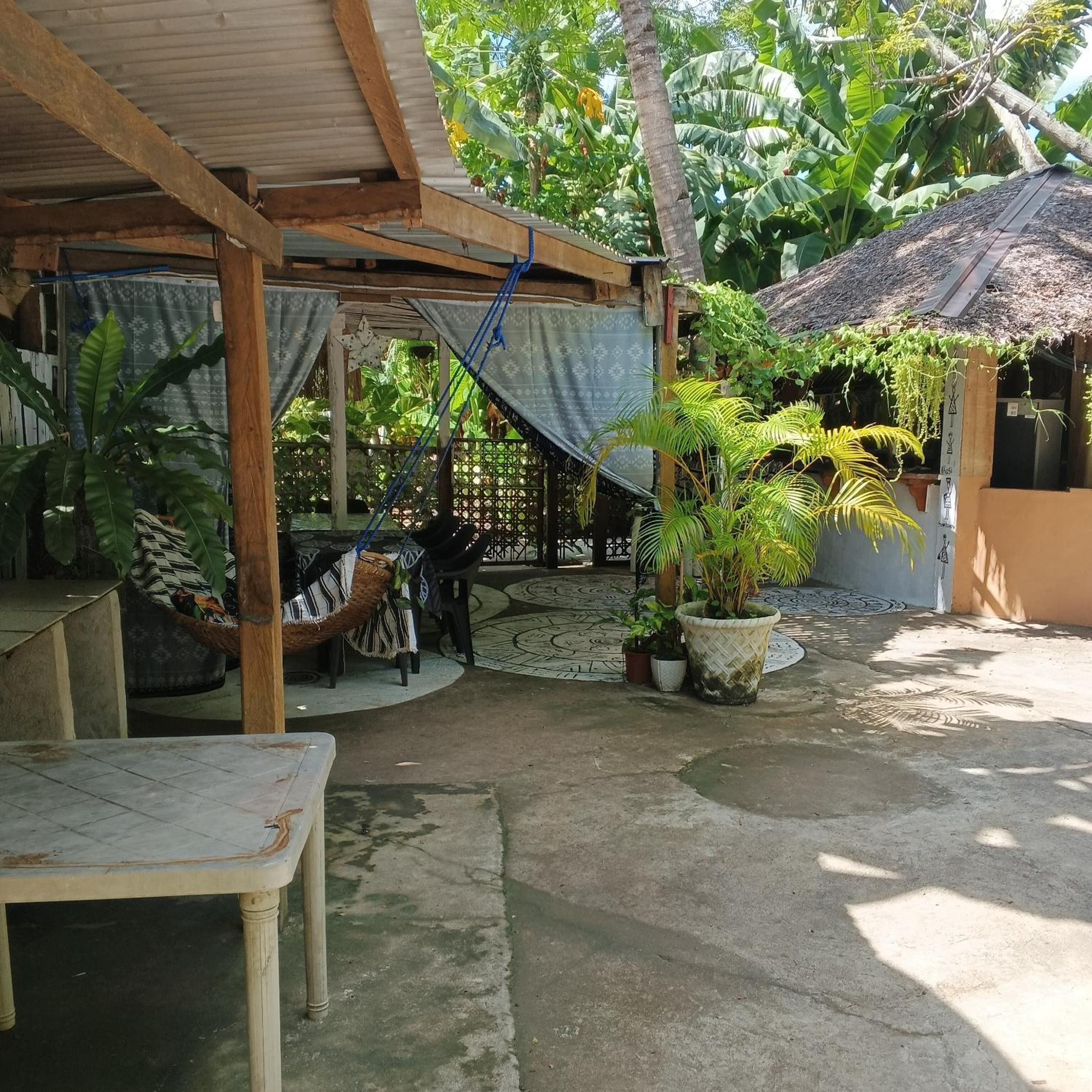 Photo 43