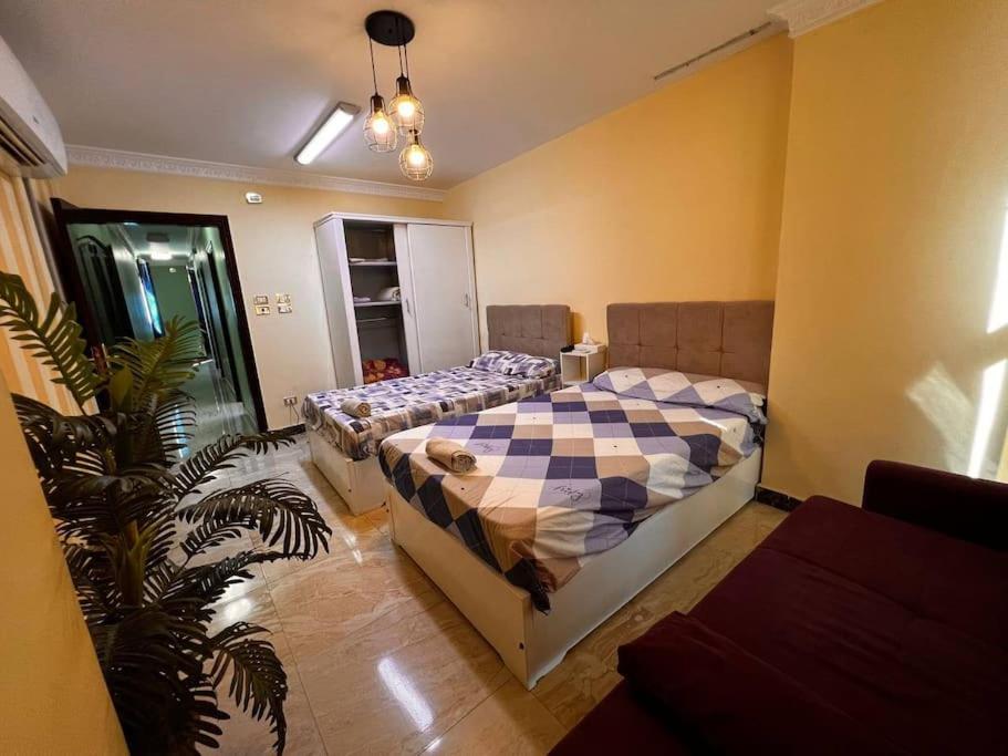 Luxe apartment Nile View Downtown
