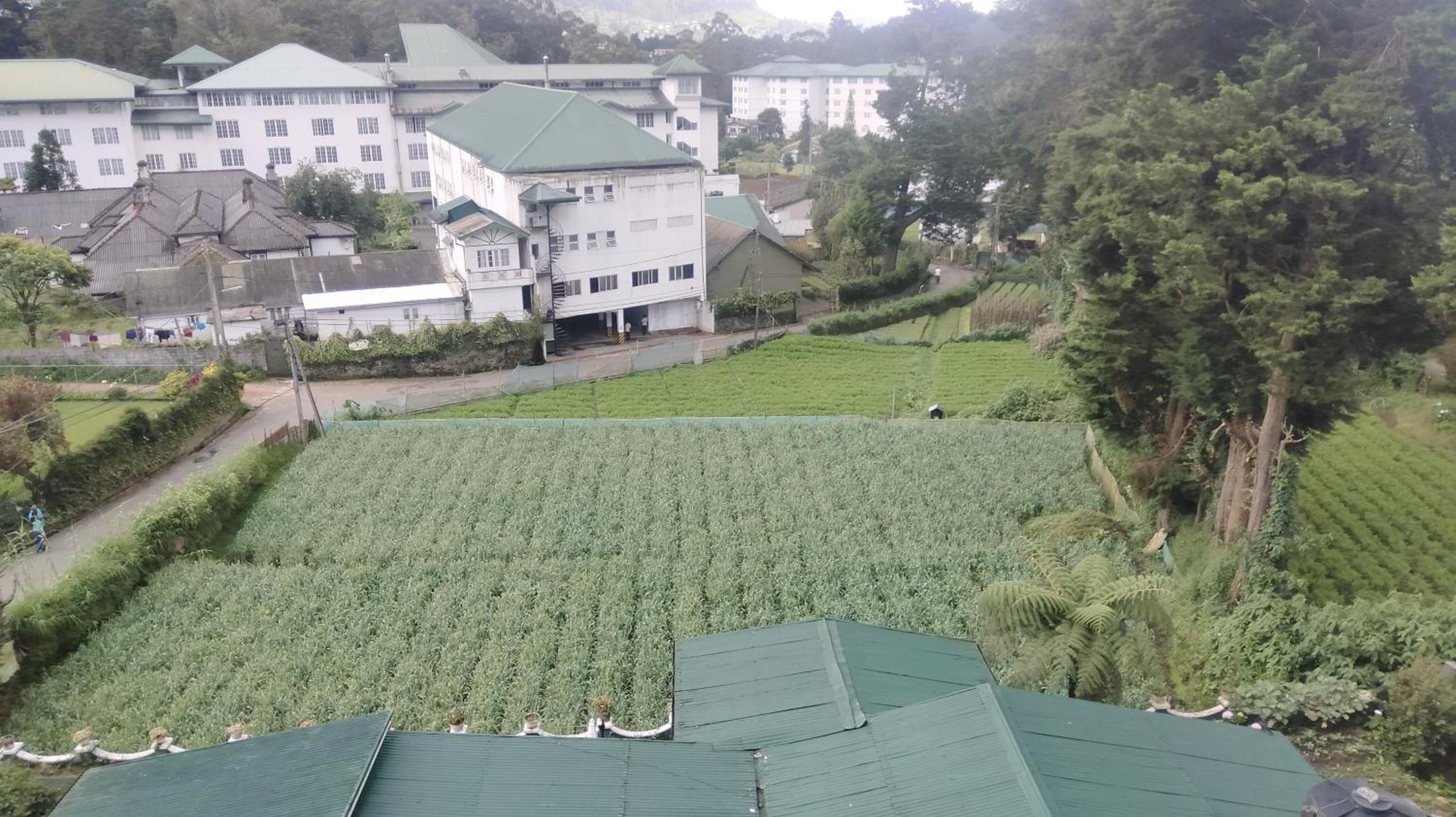 Glen falls apartment nuwara eliya