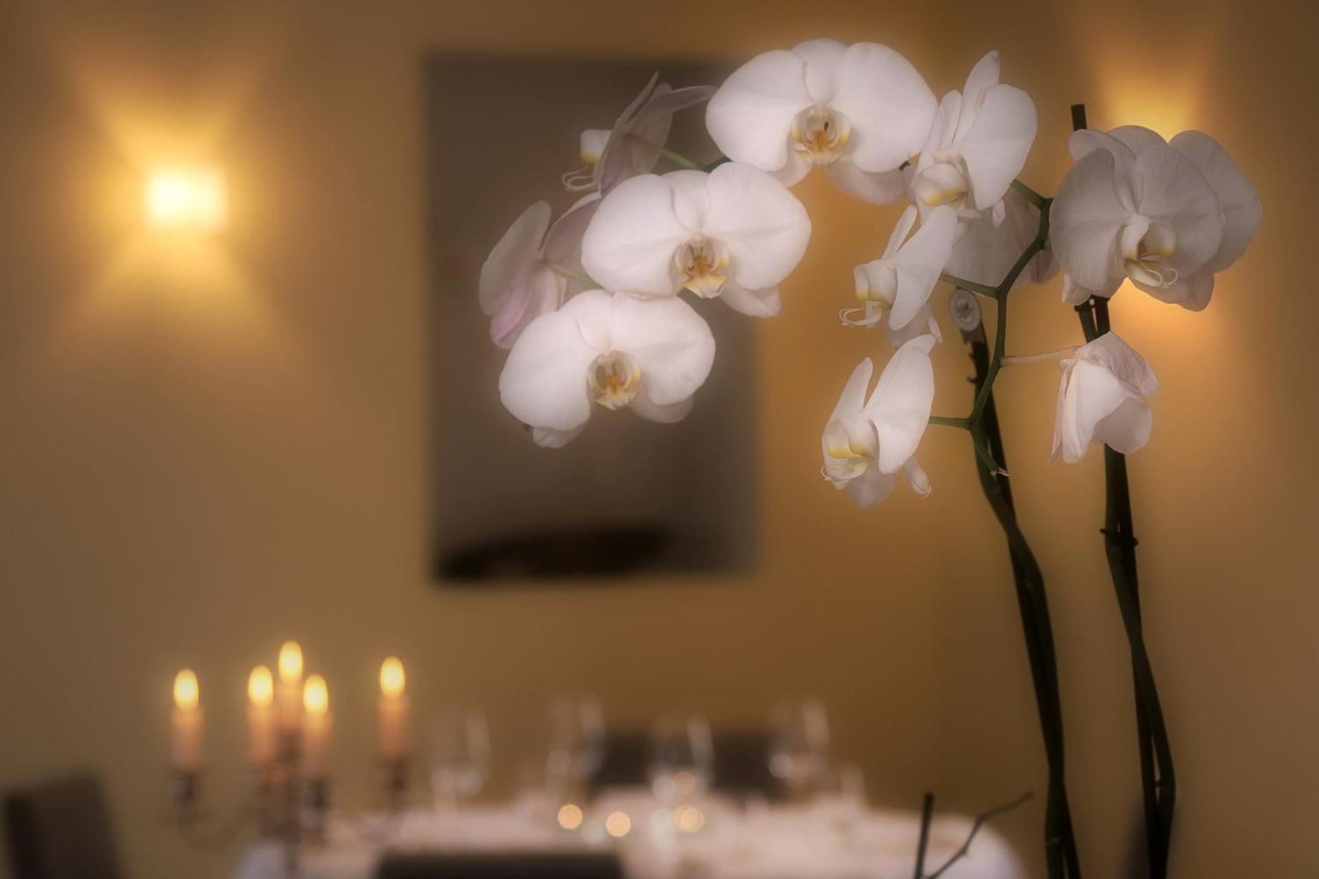 Charme Hotel Ristorante Tre Terre
