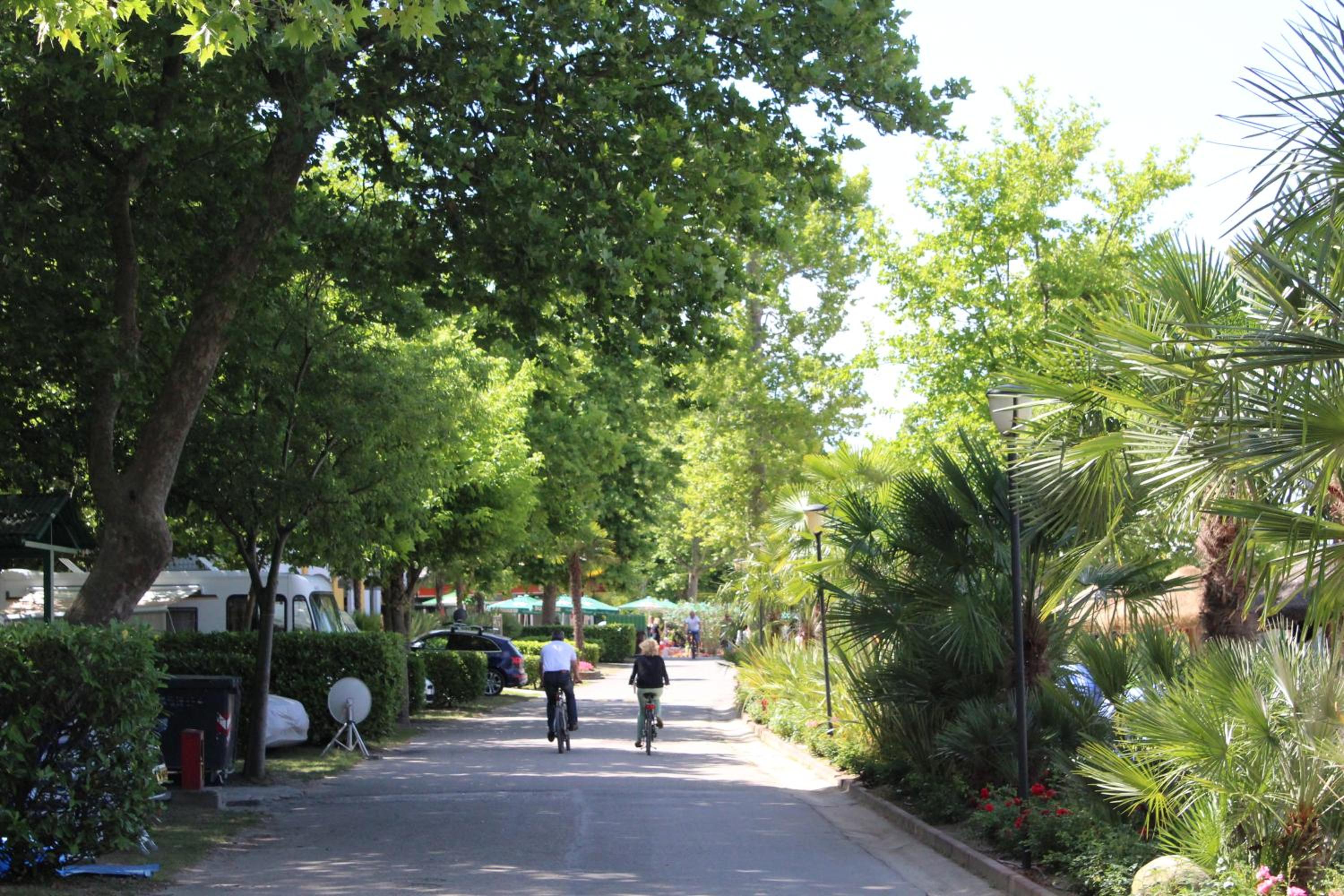 Camping Cisano - San Vito
