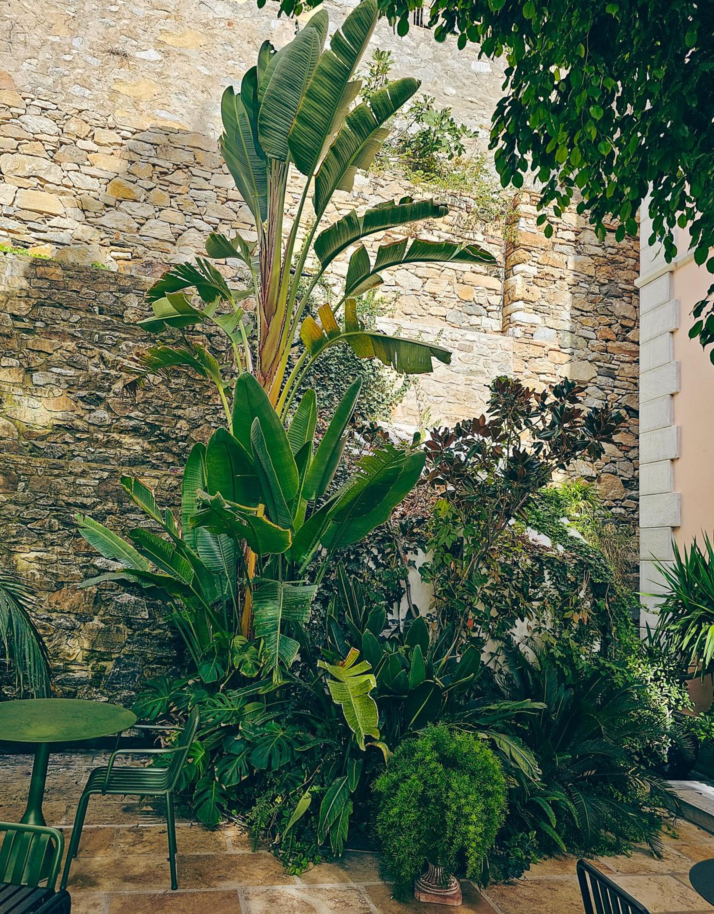 garden