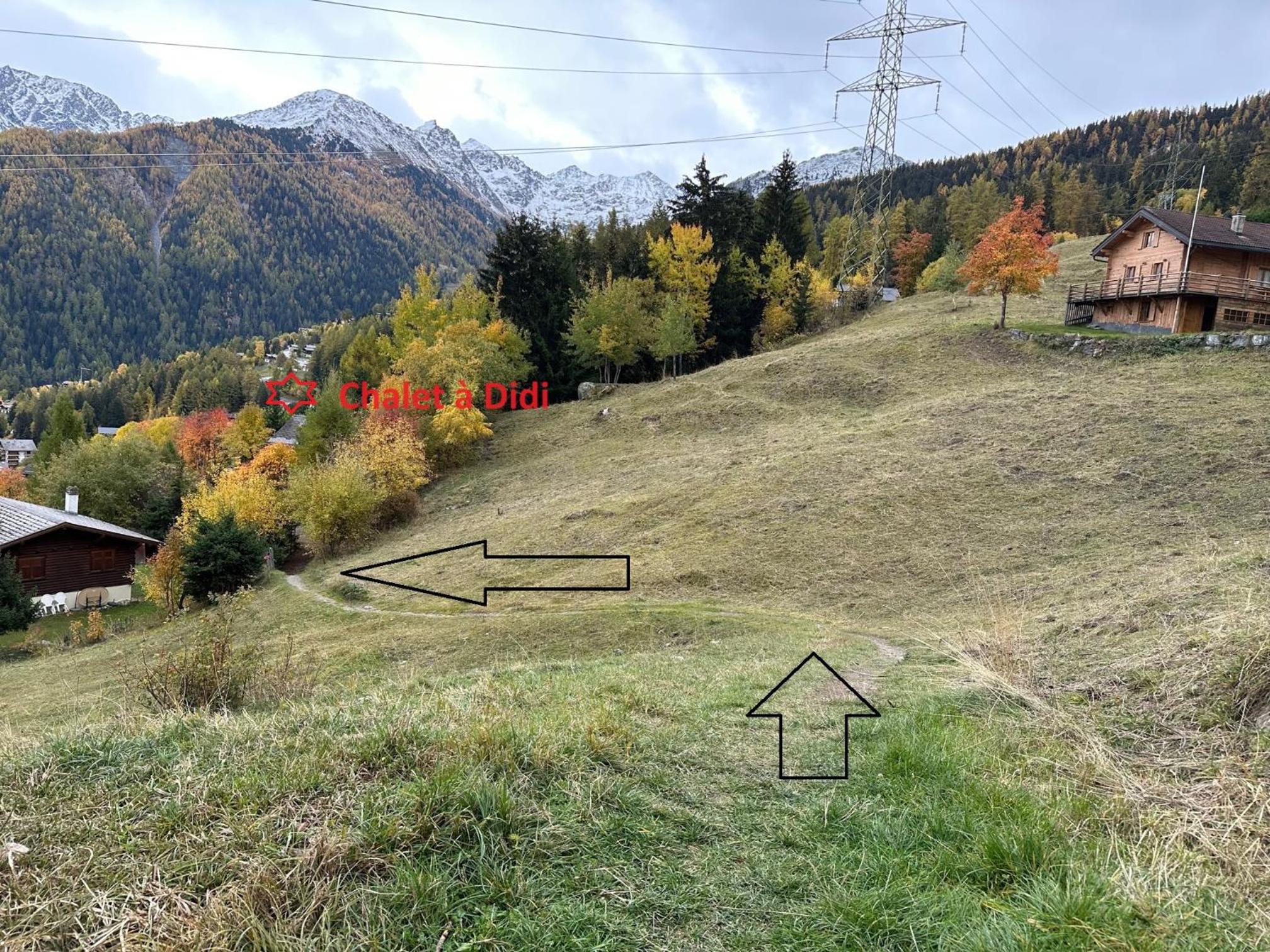 Chalet a Didi - Alps Paradise - 4 Vallees