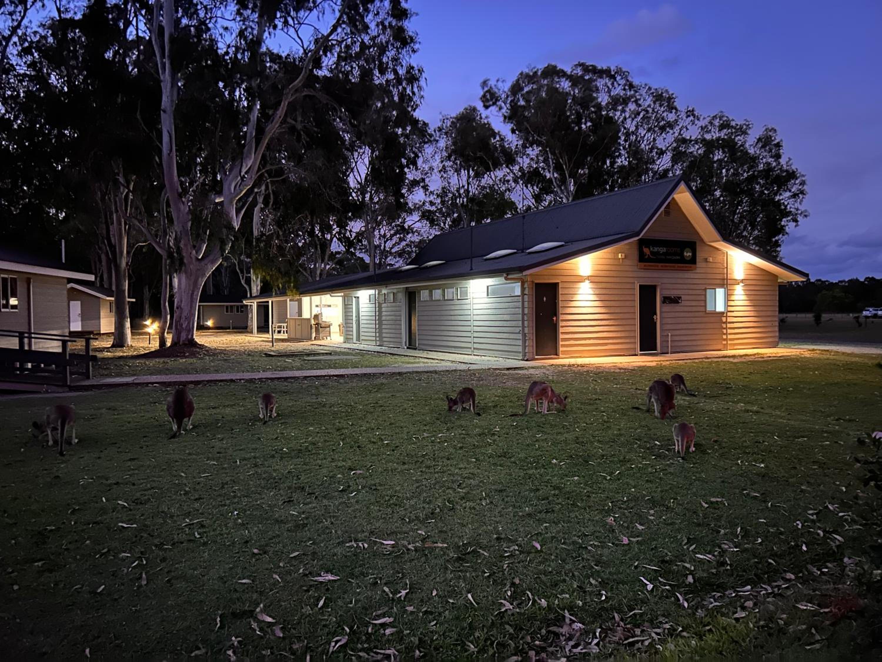 Kangarooms Noosa Everglades
