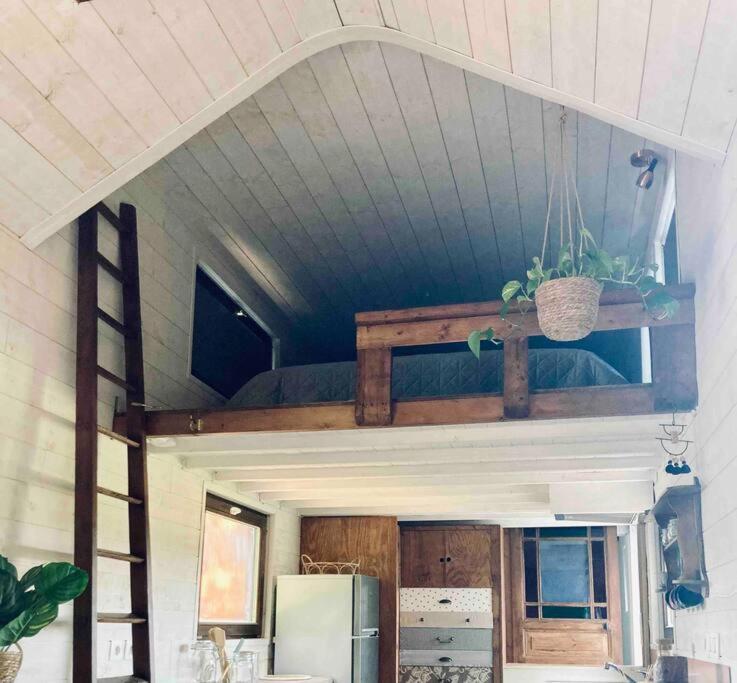 Tiny Paradis